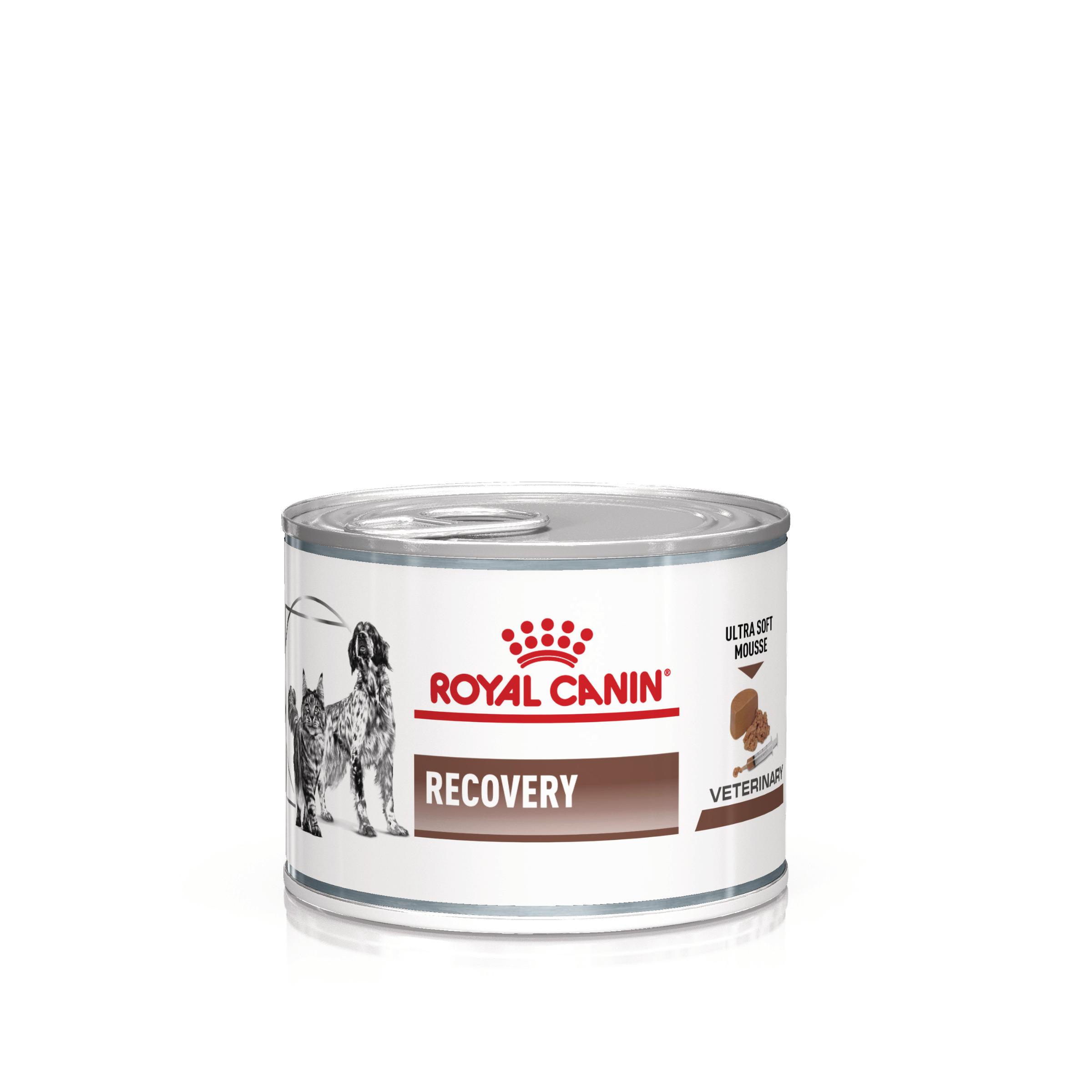 ROYAL CANIN VD Recovery Cat/Dog , XS-XL, dietă veterinară, conservă hrană umedă câini și pisici, convalescență, (mousse), 195g - poza 1