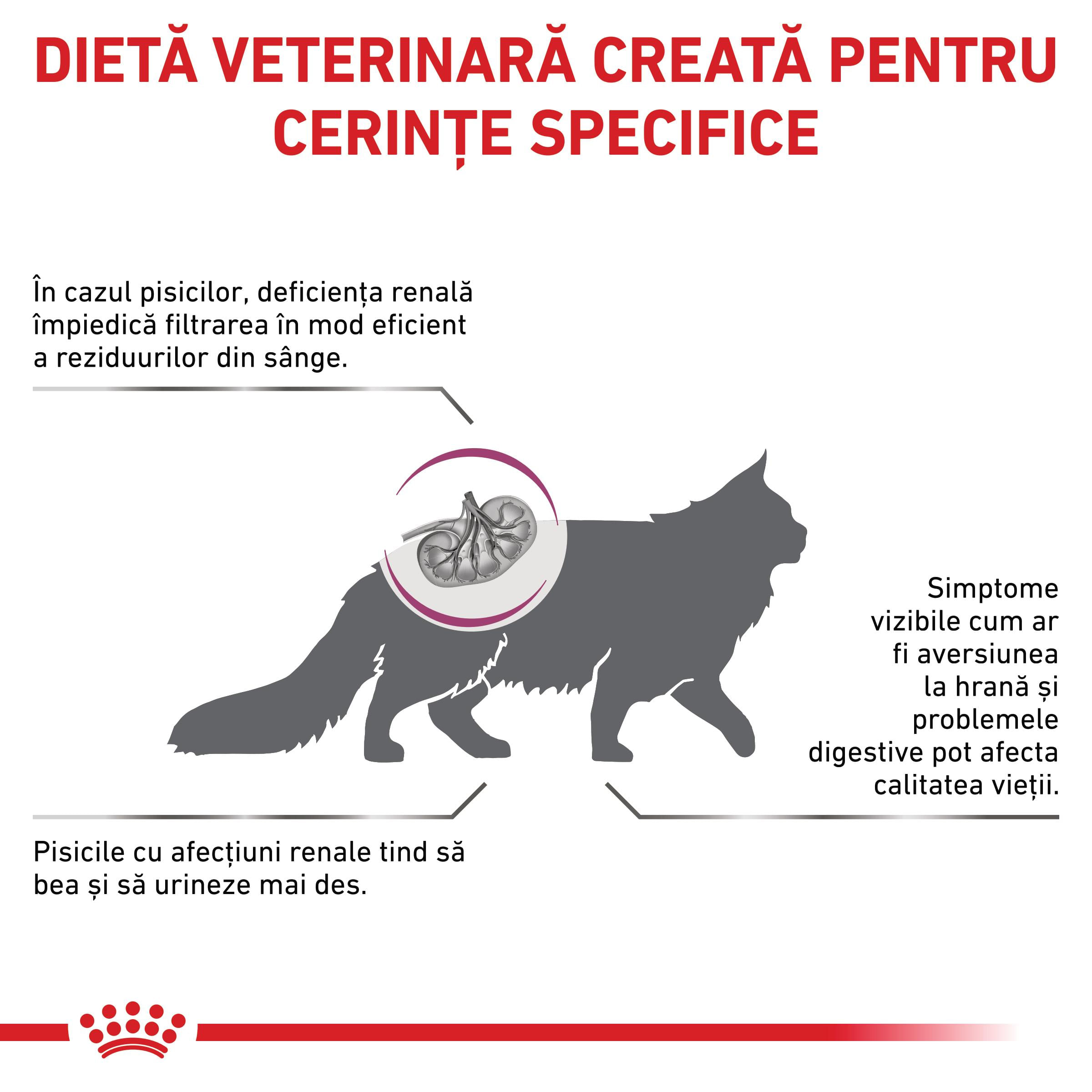ROYAL CANIN VD Renal, dietă veterinară, hrană uscată pisici, sistem renal, 4kg - poza 3