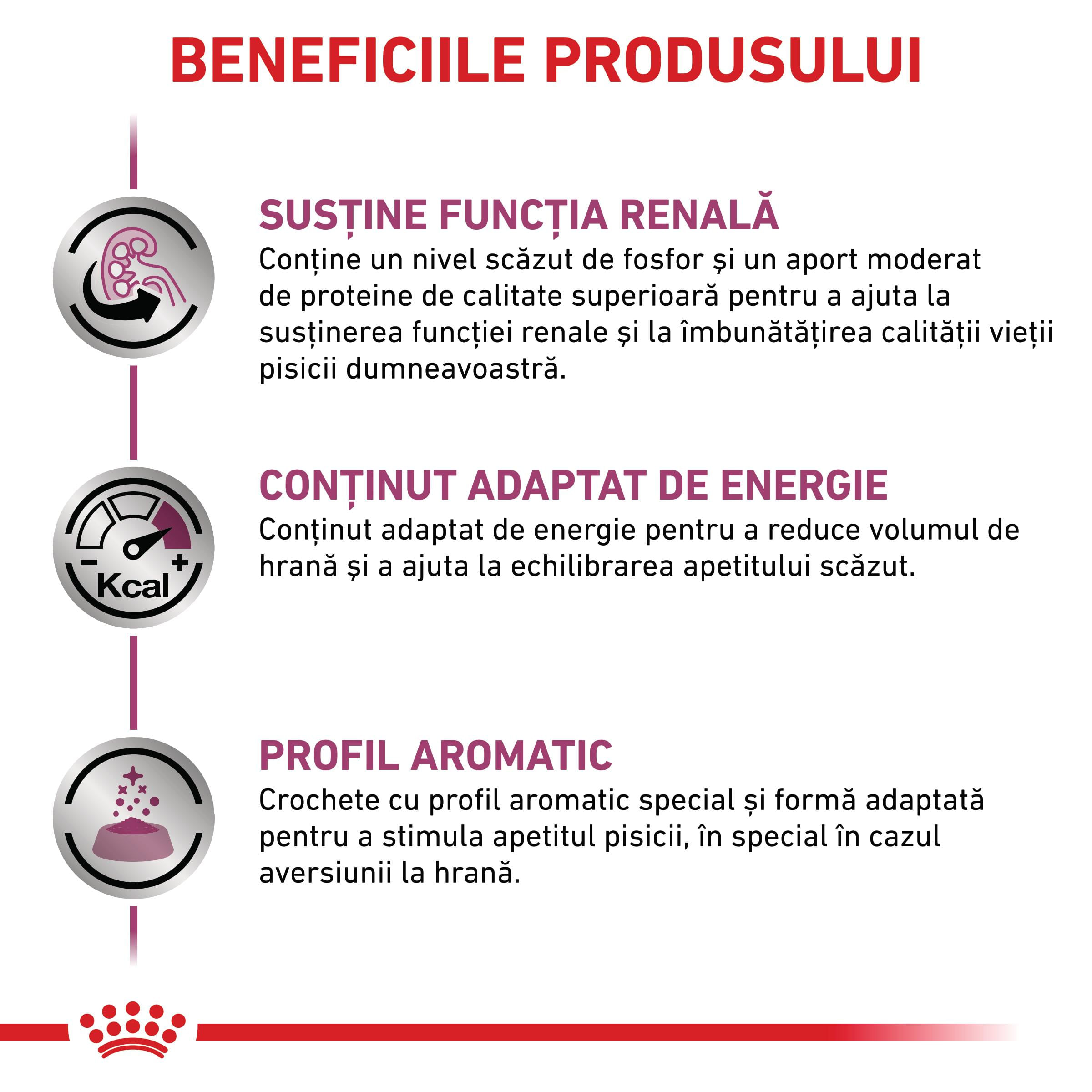 ROYAL CANIN VD Renal, dietă veterinară, hrană uscată pisici, sistem renal, 4kg - poza 5