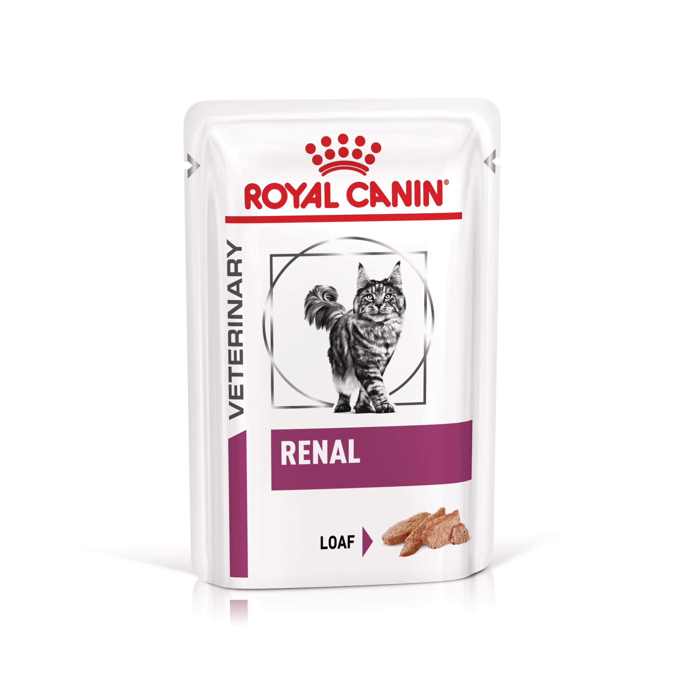 ROYAL CANIN VD Renal Loaf, dietă veterinară, plic hrană umedă pisici, sistem renal, (pate), bax, 85g x 12buc - poza 2