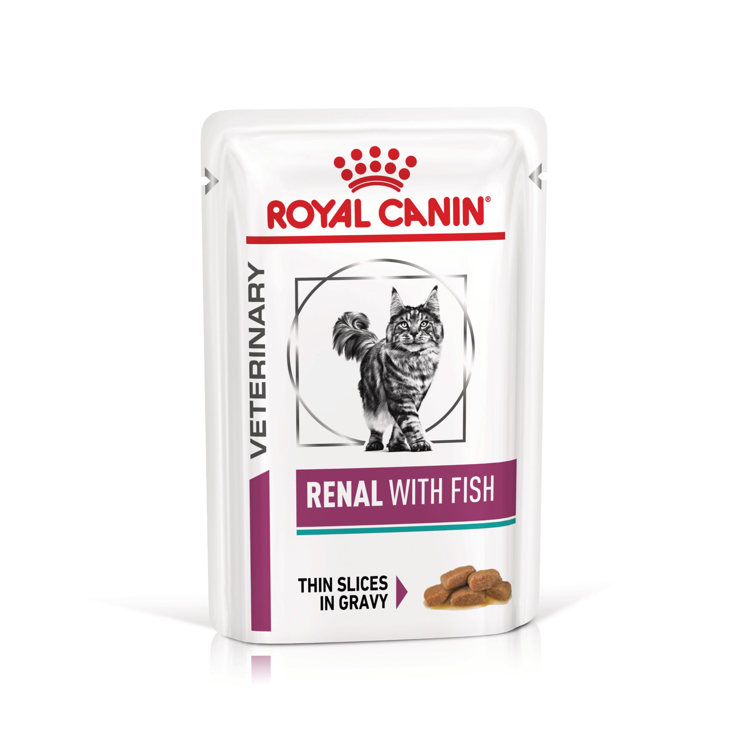 ROYAL CANIN VD Renal, Pește, dietă veterinară, plic hrană umedă pisici, sistem renal, (în sos), bax, 85g x 12buc - poza 2