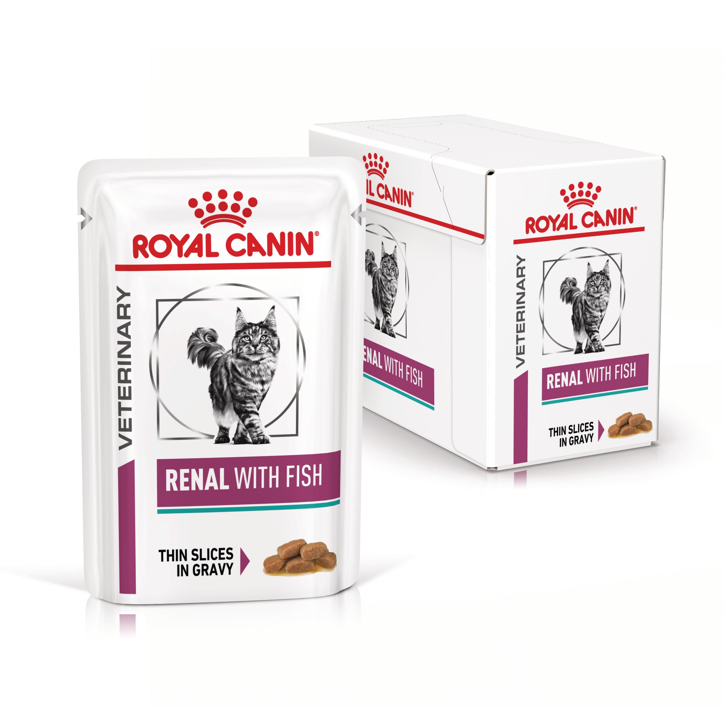 ROYAL CANIN VD Renal, Pește, dietă veterinară, plic hrană umedă pisici, sistem renal, (în sos), bax, 85g x 12buc - poza 3