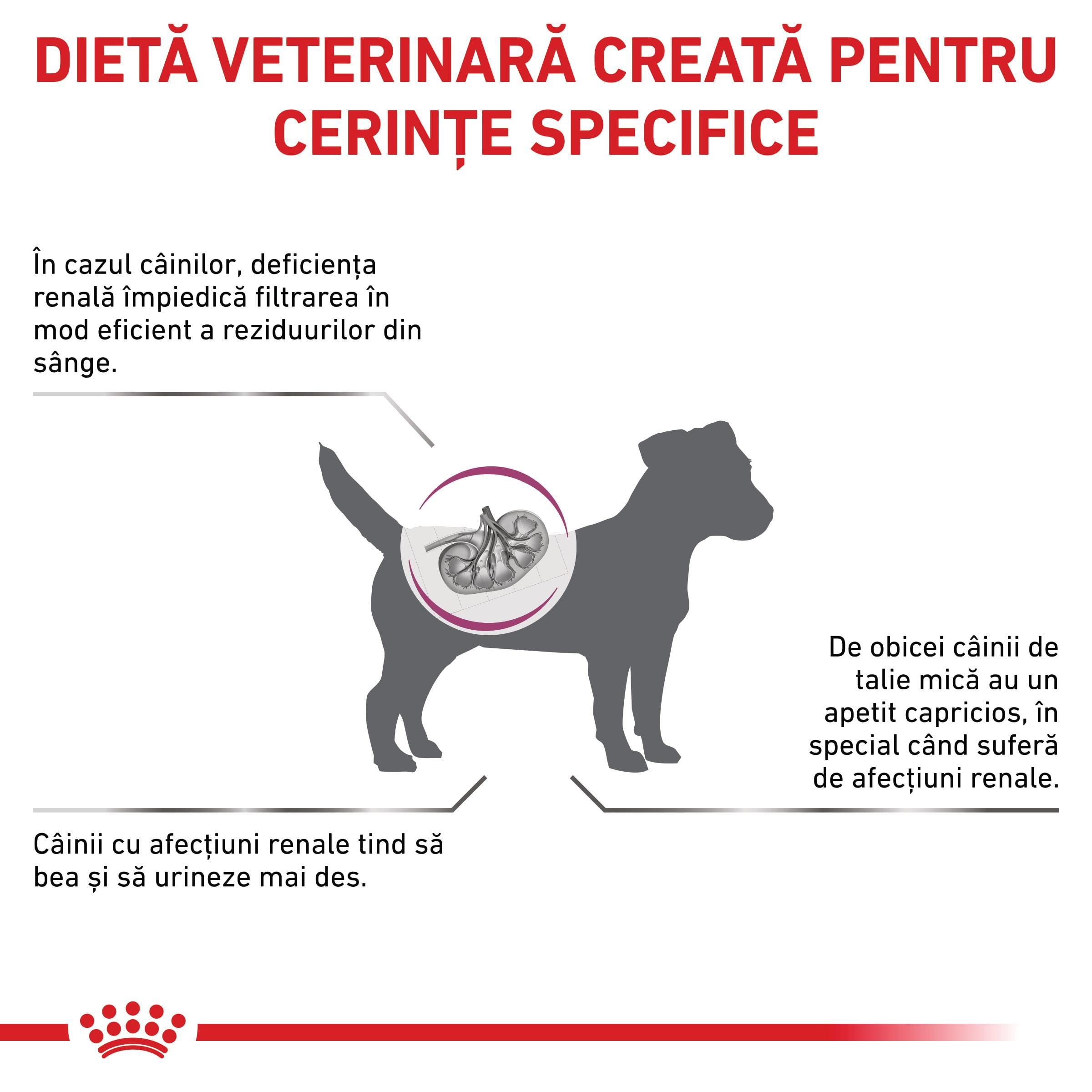 ROYAL CANIN VD Renal Small Dog, XS-S, dietă veterinară, hrană uscată câini, sistem renal, 1.5kg - poza 3