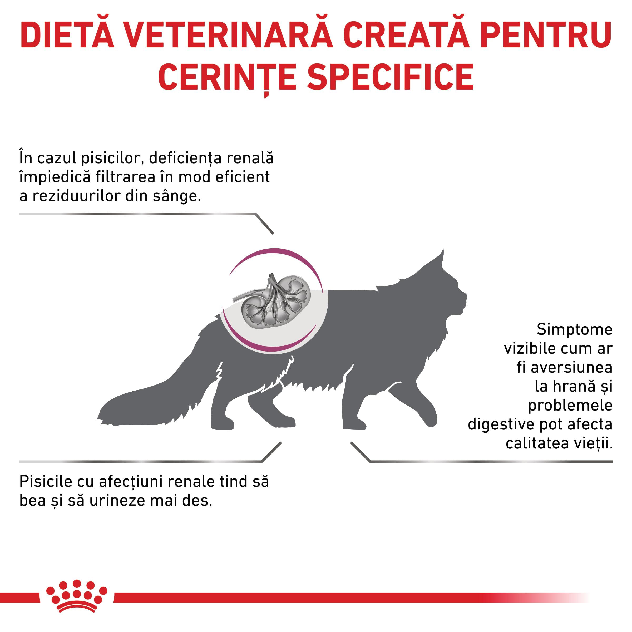ROYAL CANIN VD Renal Special, dietă veterinară, hrană uscată pisici, sistem renal, 4kg - poza 3