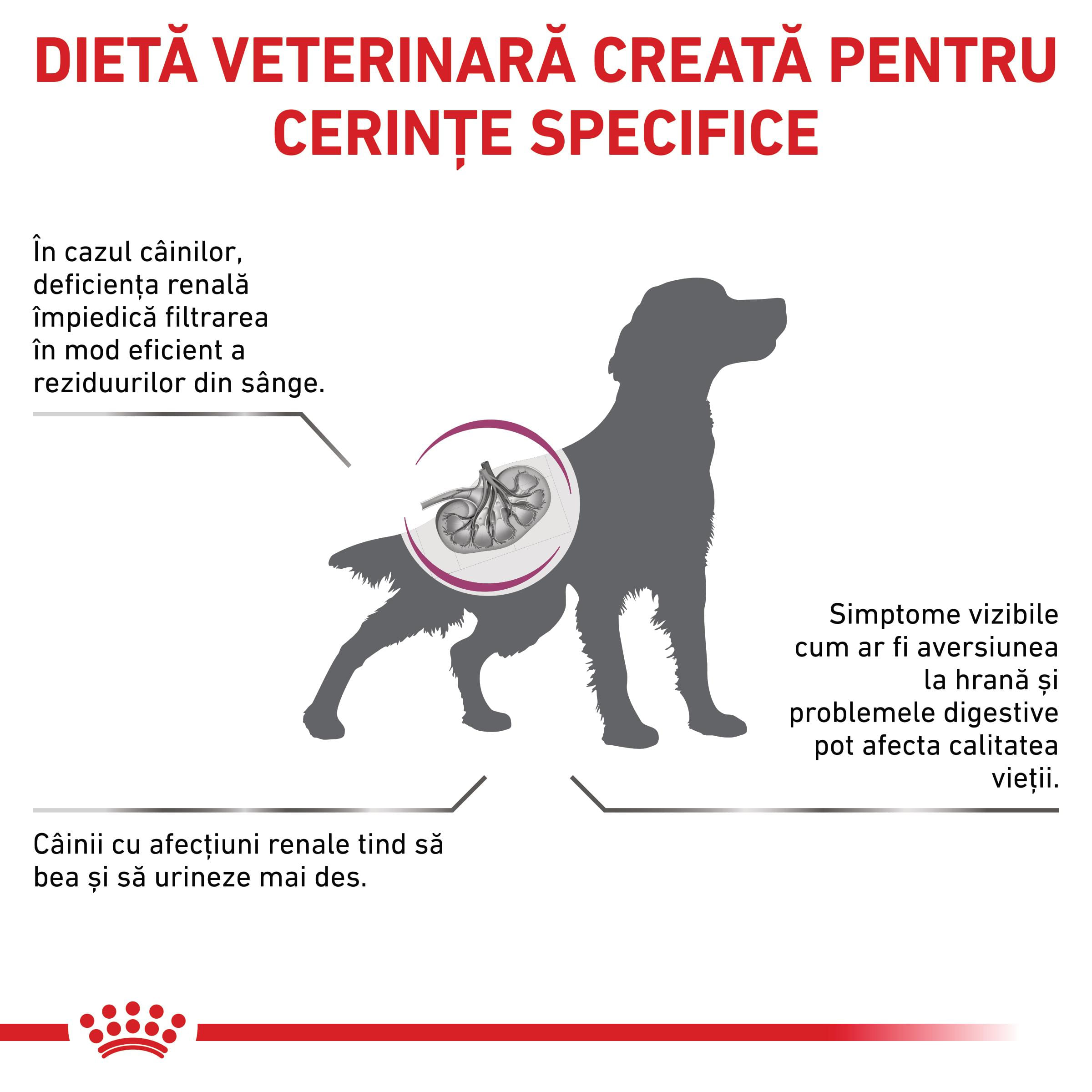 ROYAL CANIN VD Renal, XS-XL, dietă veterinară, hrană uscată câini, sistem renal, 14kg - poza 3