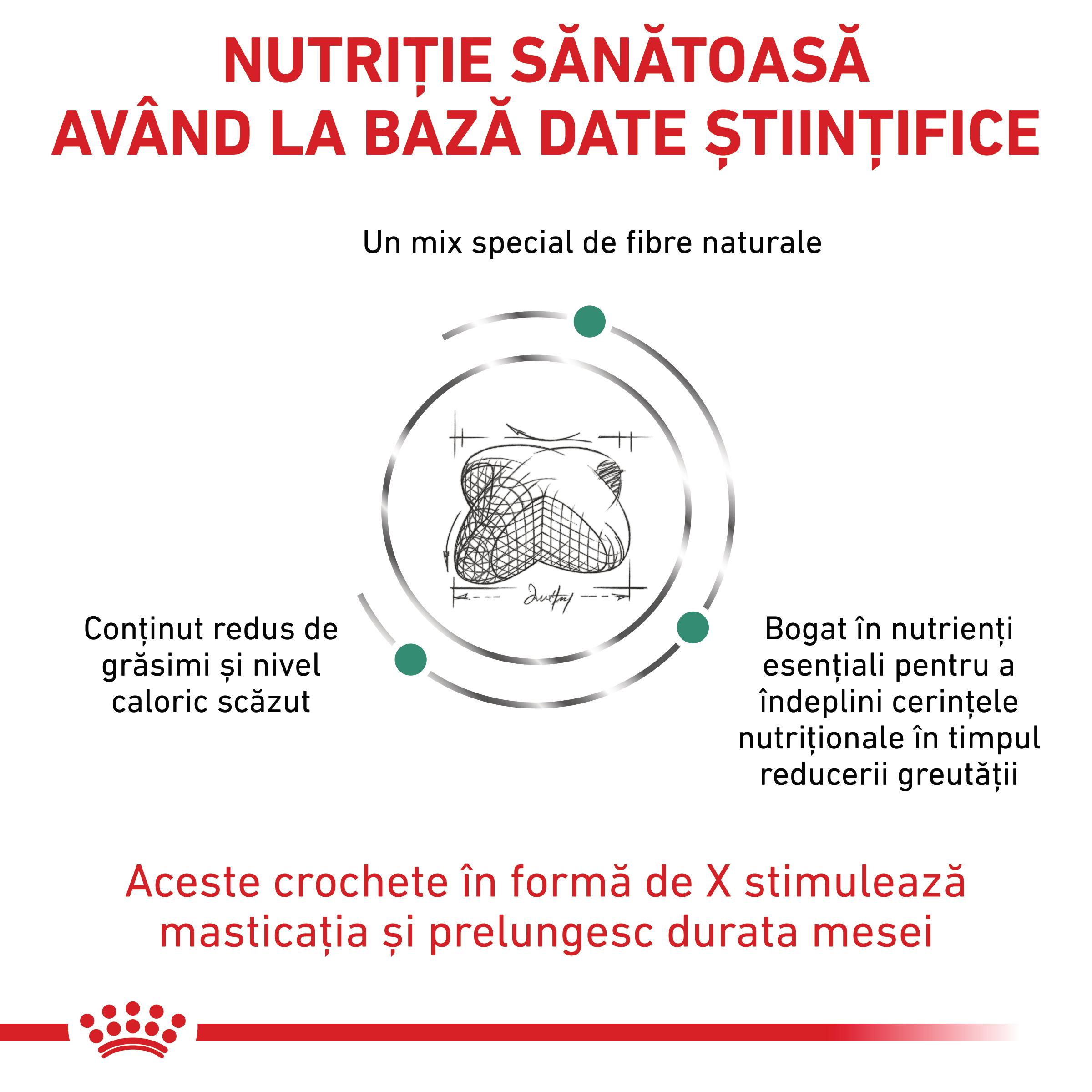 ROYAL CANIN VD Satiety, XS-XL, dietă veterinară, conservă hrană umedă câini, obezitate, (pate), 410g - poza 4