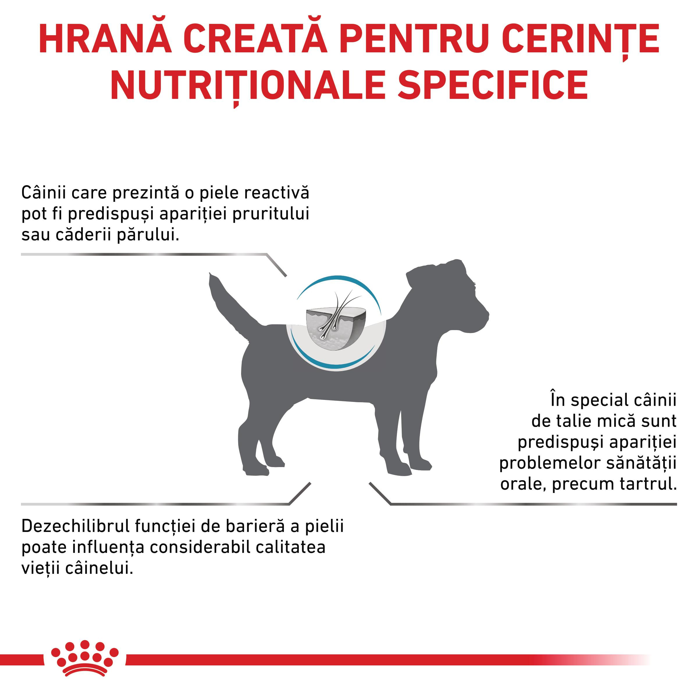 ROYAL CANIN VD Skin Care Small Dog, XS-XL, dietă veterinară, hrană uscată câini, afecțiuni dermatologice, 4kg - poza 3