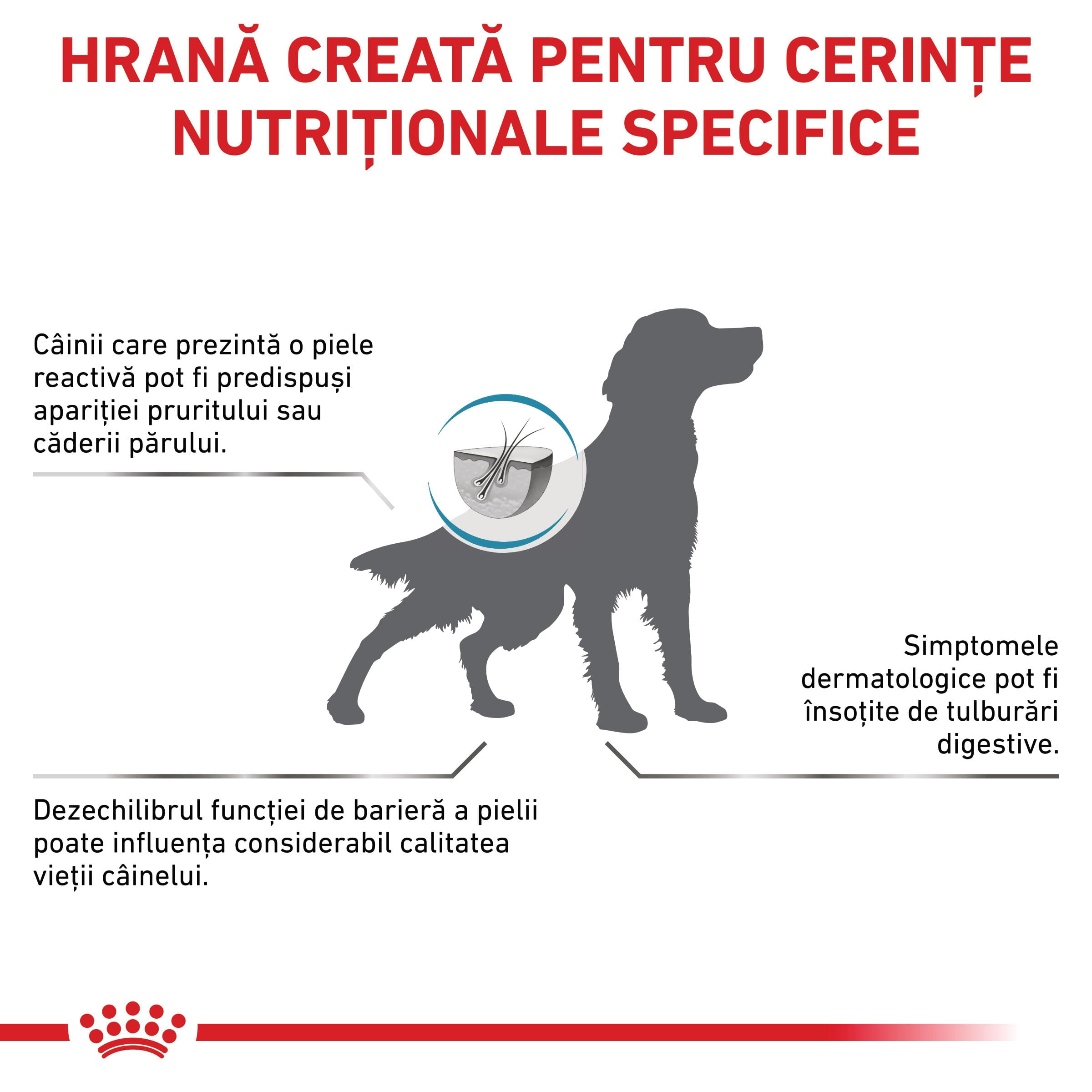 ROYAL CANIN VD Skin Care, XS-XL, dietă veterinară, hrană uscată câini, afecțiuni dermatologice, 2kg - poza 3