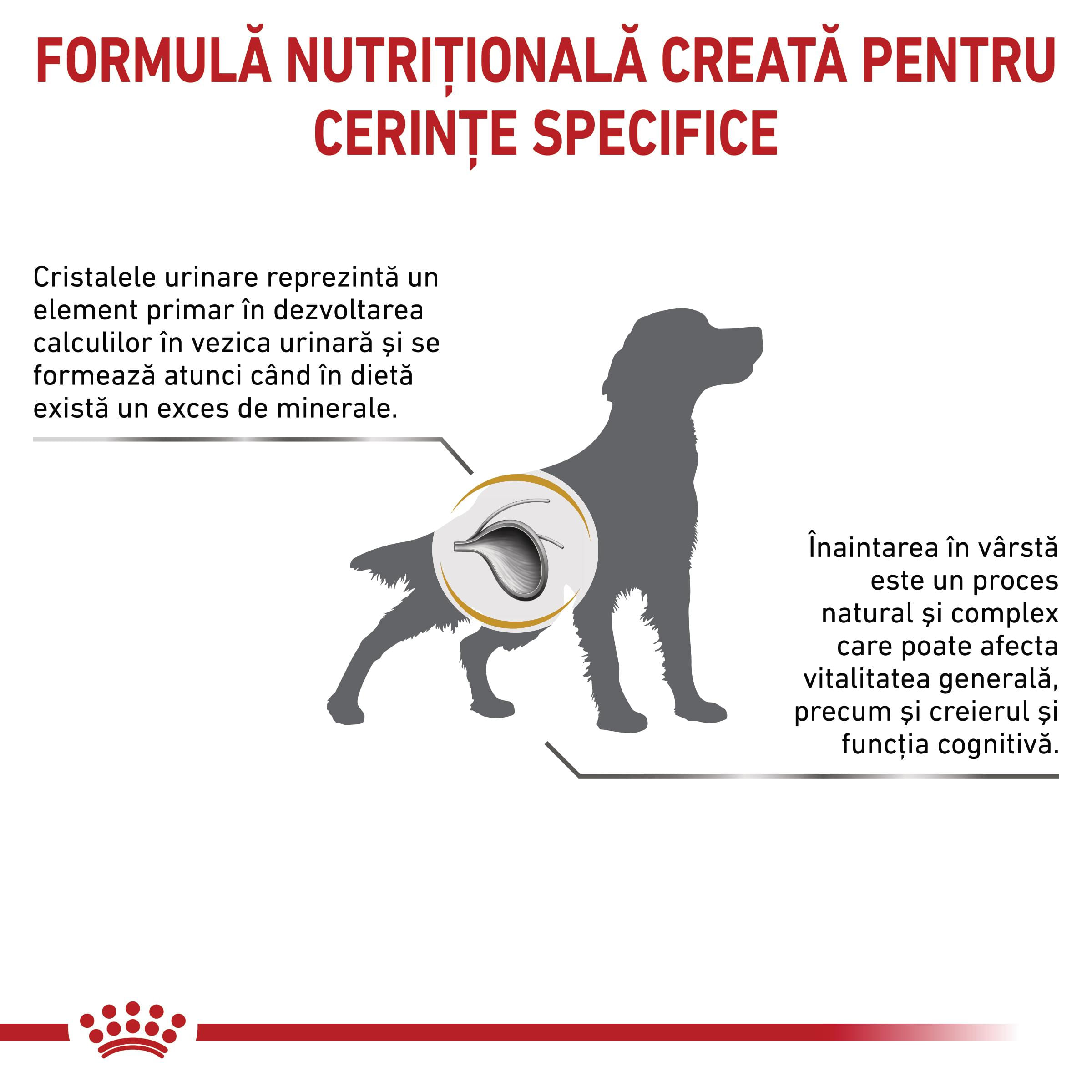 ROYAL CANIN VD Urinary S/O Ageing 7+, S-XL, dietă veterinară, hrană uscată câini senior, sistem urinar, 8kg - poza 3