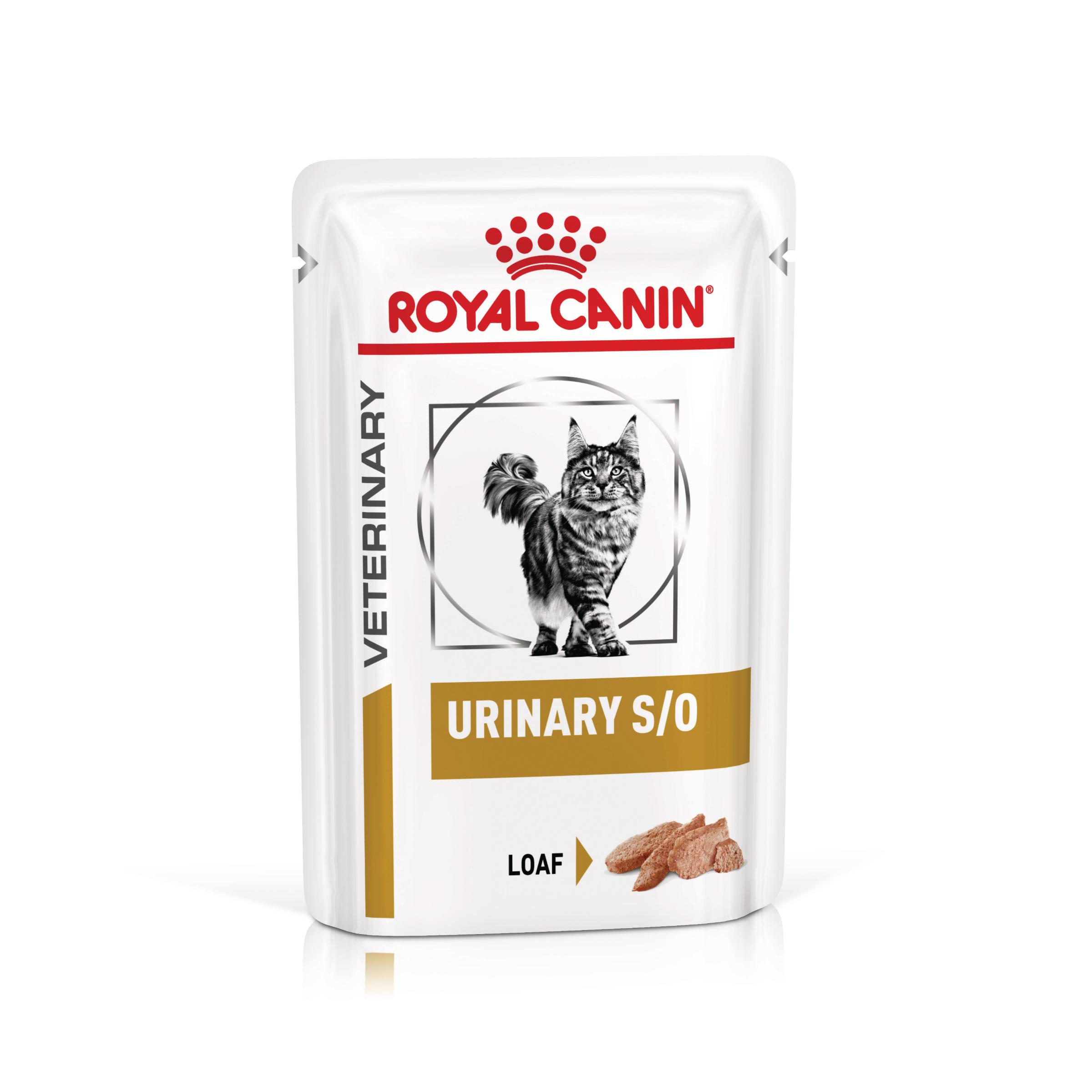 ROYAL CANIN VD Urinary S/O, dietă veterinară, plic hrană umedă pisici, sistem urinar, (pate), bax, 85g x 12buc - poza 2