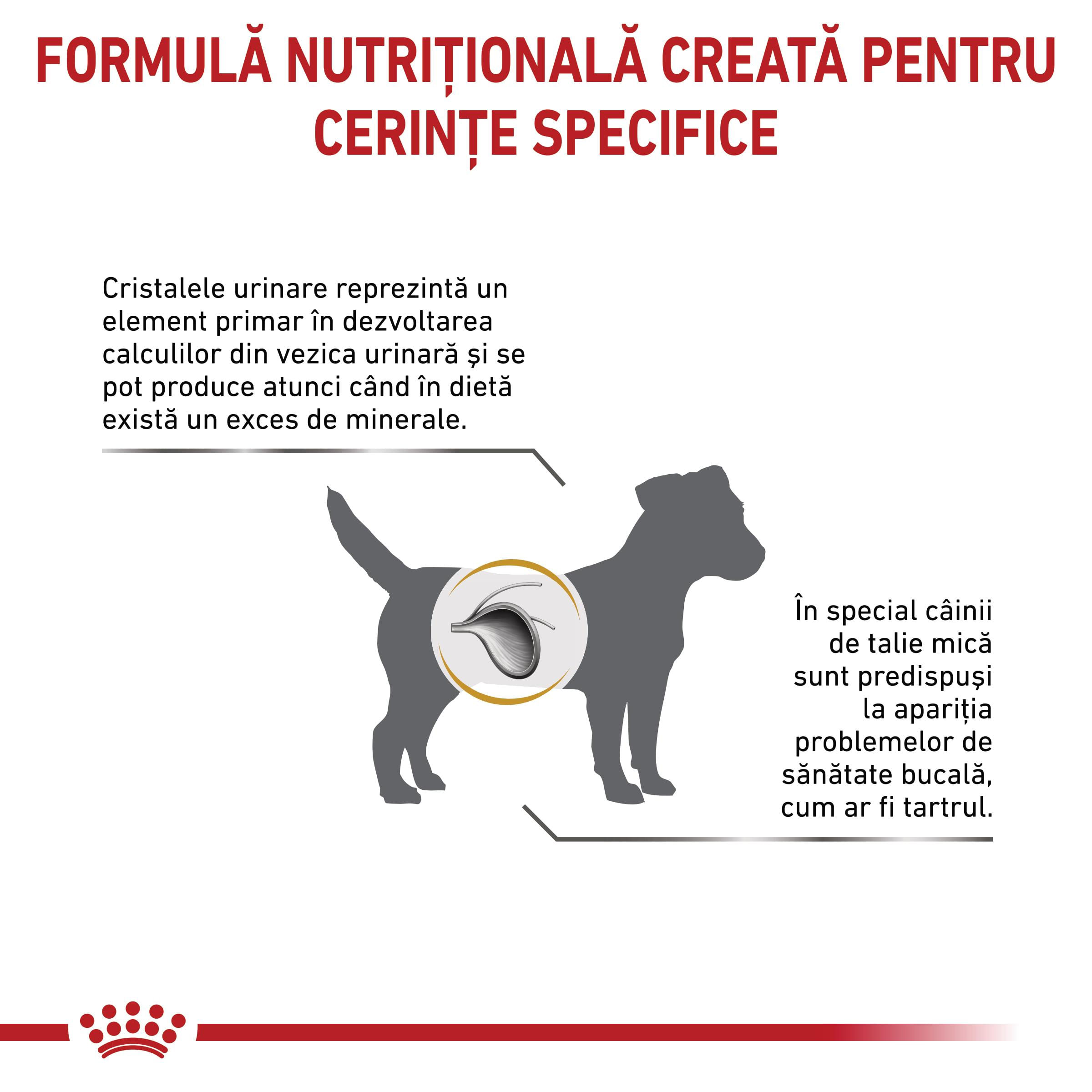 ROYAL CANIN VD Urinary S/O Small Dog, XS-S, dietă veterinară, hrană uscată câini, sistem urinar, 8kg - poza 3