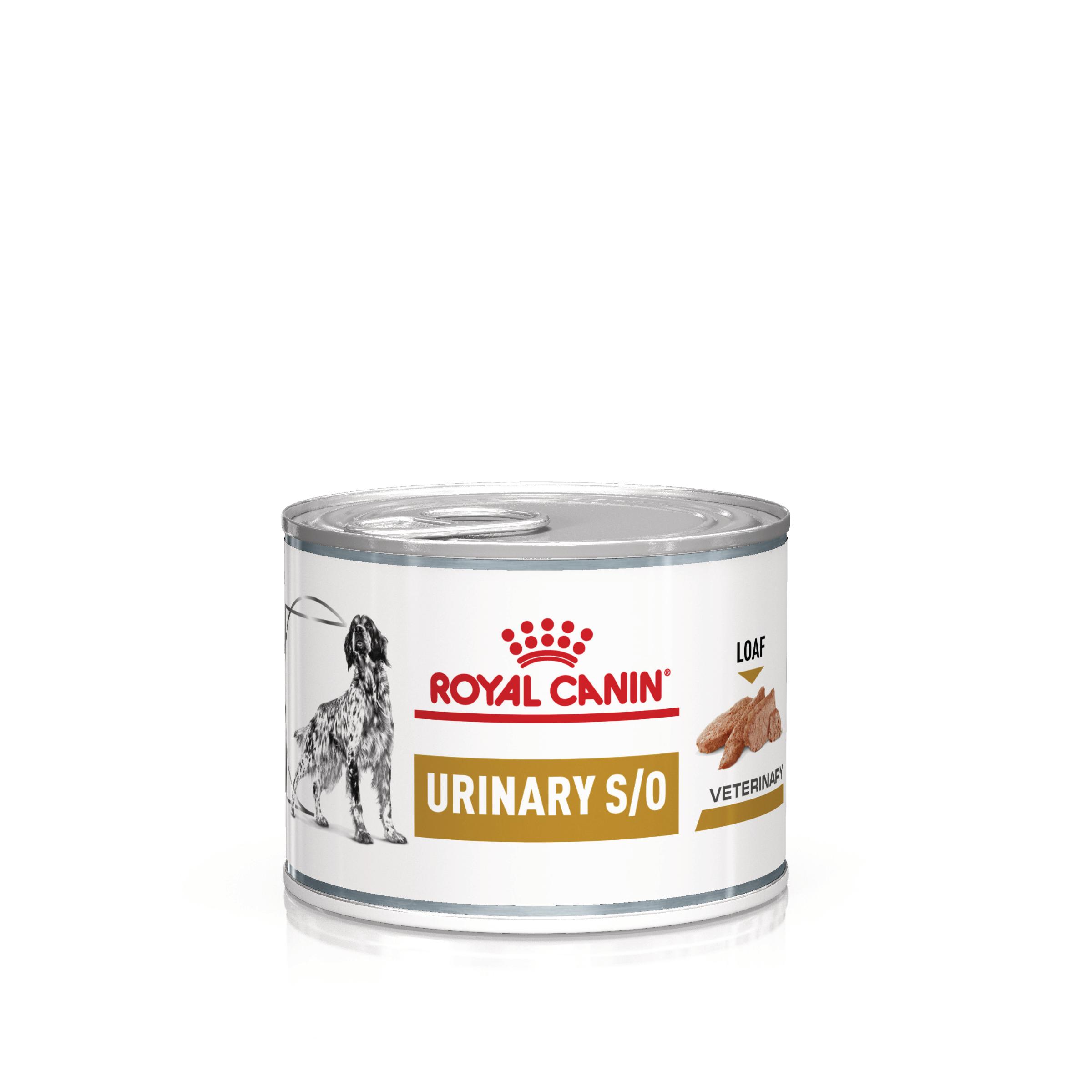 ROYAL CANIN VD Urinary S/O, XS-XL, dietă veterinară, conservă hrană umedă câini, sistem urinar, (pate), 200g - poza 1