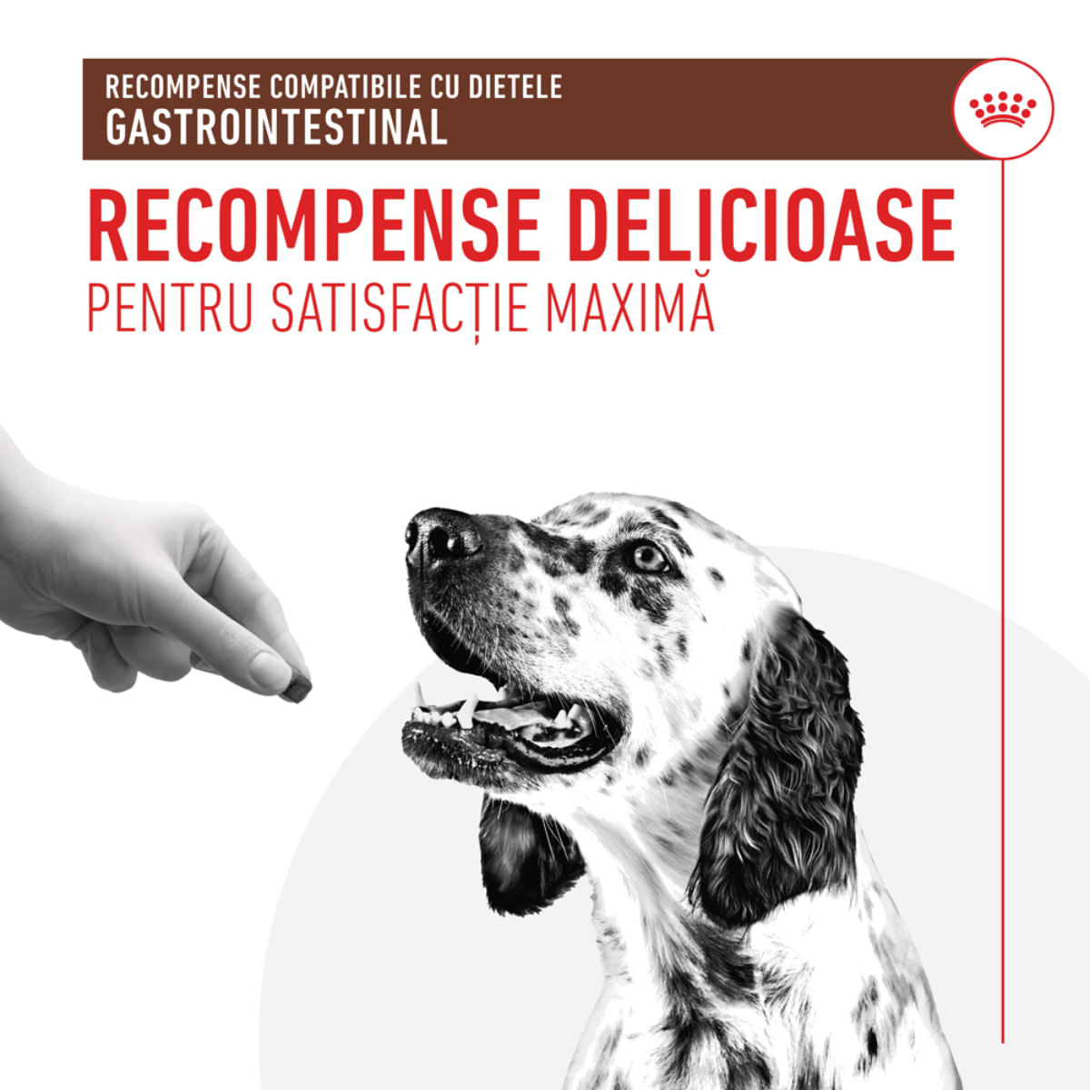 ROYAL CANIN VETERINARY DIET Gastrointestinal Treats, punguță recompense funcționale câini, sistem digestiv, 230g - poza 4