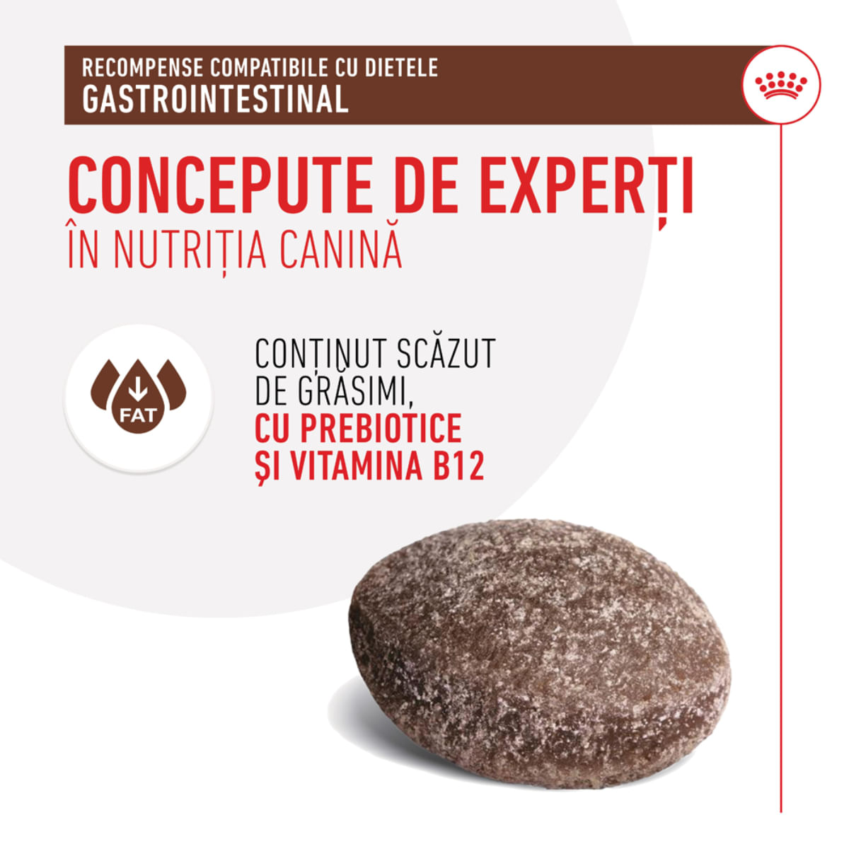 ROYAL CANIN VETERINARY DIET Gastrointestinal Treats, punguță recompense funcționale câini, sistem digestiv, 230g - poza 5