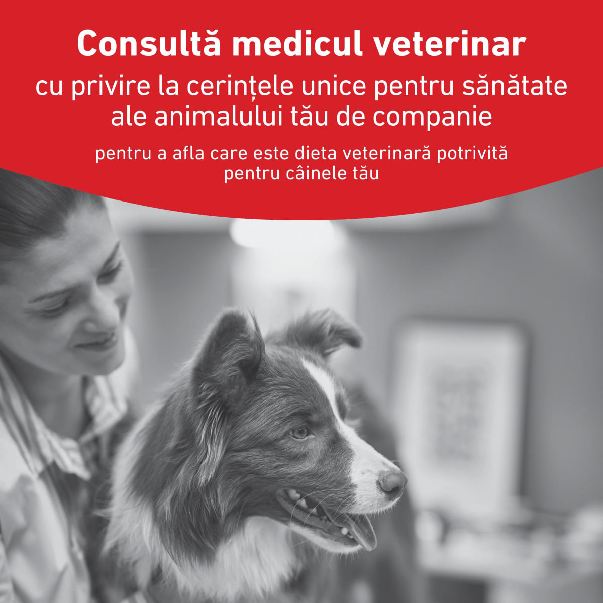 ROYAL CANIN VETERINARY DIET Glycobalance Small Dogs, XS-S, dietă veterinară, hrană uscată câini, diabet, 1.5kg - poza 4