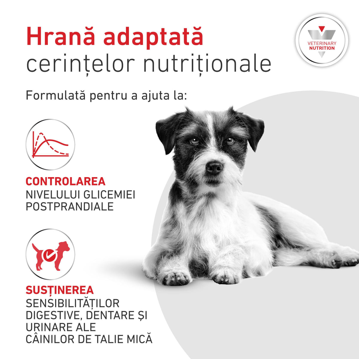 ROYAL CANIN VETERINARY DIET Glycobalance Small Dogs, XS-S, dietă veterinară, hrană uscată câini, diabet, 4kg - poza 5