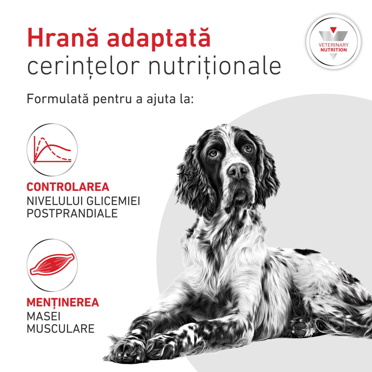 ROYAL CANIN VETERINARY DIET Glycobalance, XS-XL, dietă veterinară, hrană uscată câini, diabet, 1.5kg - poza 5