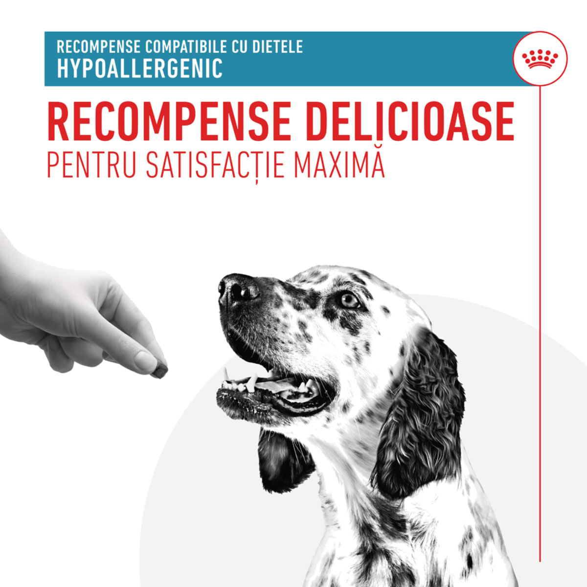 ROYAL CANIN VETERINARY DIET Hypoallergenic Treats, punguță recompense funcționale câini, alergii, 230g - poza 4