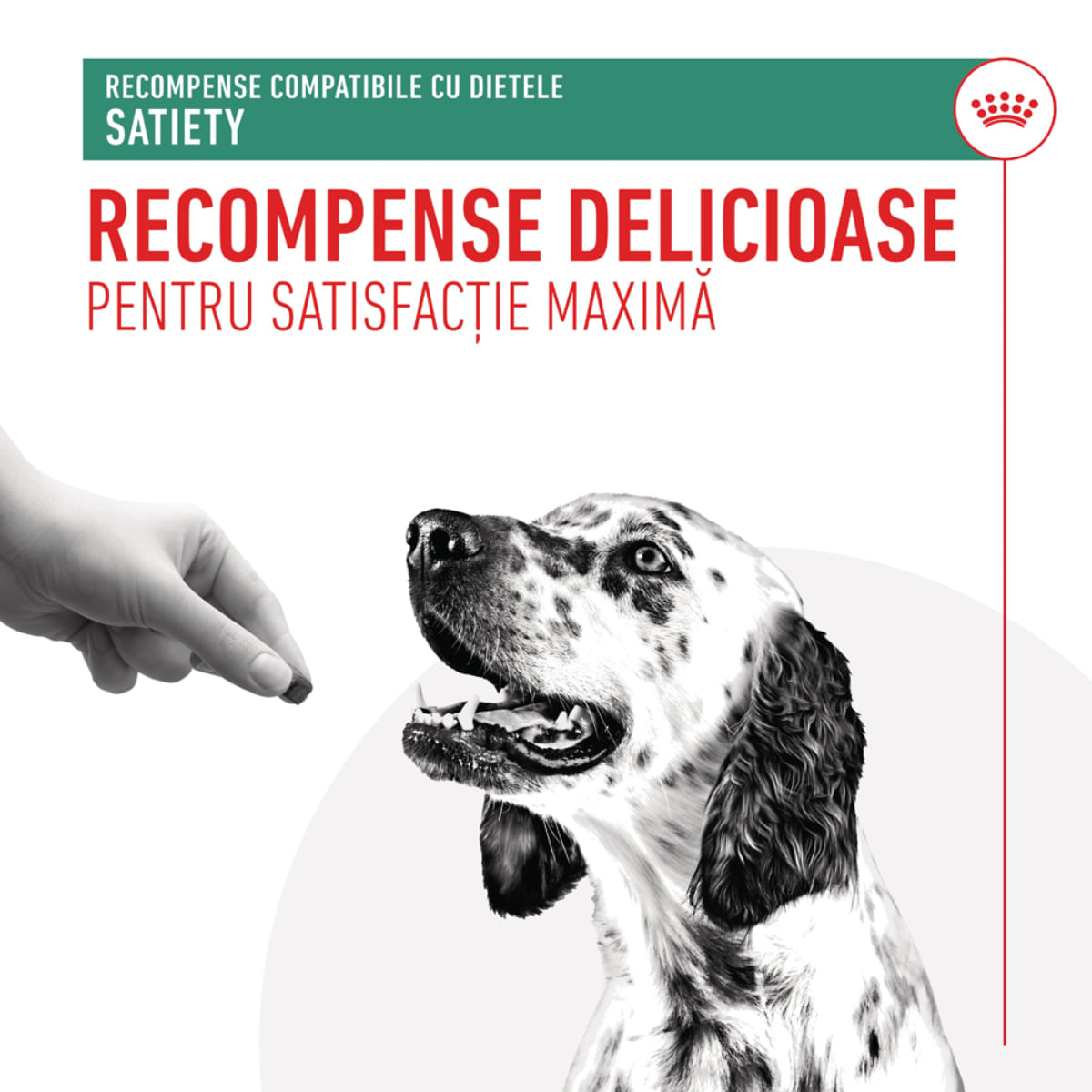 ROYAL CANIN VETERINARY DIET Satiety Treats, punguță recompense funcționale câini, obezitate, 230g - poza 4