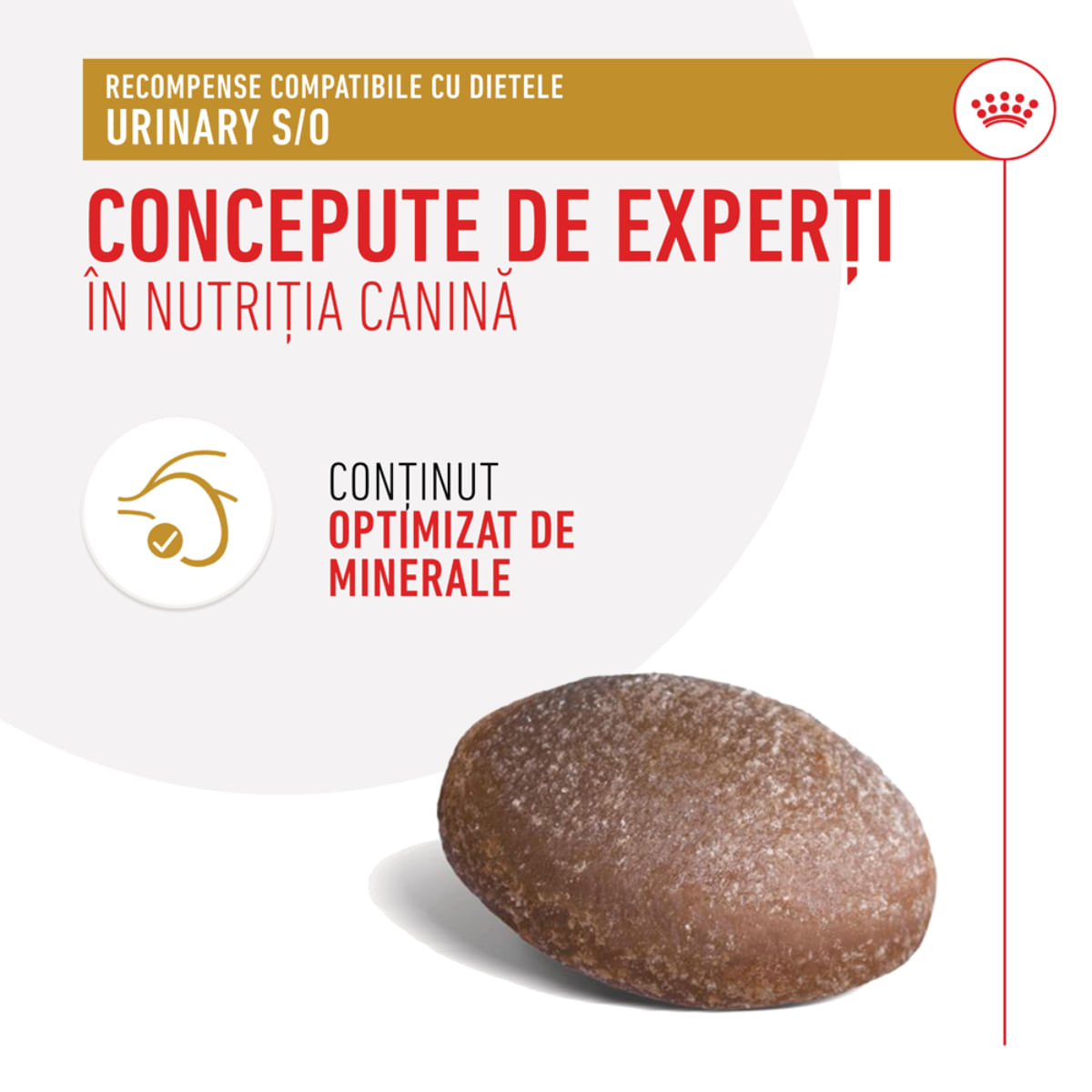 ROYAL CANIN VETERINARY DIET Urinary S/O Treats, punguță recompense funcționale câini, sistem urinar, 230g - poza 5