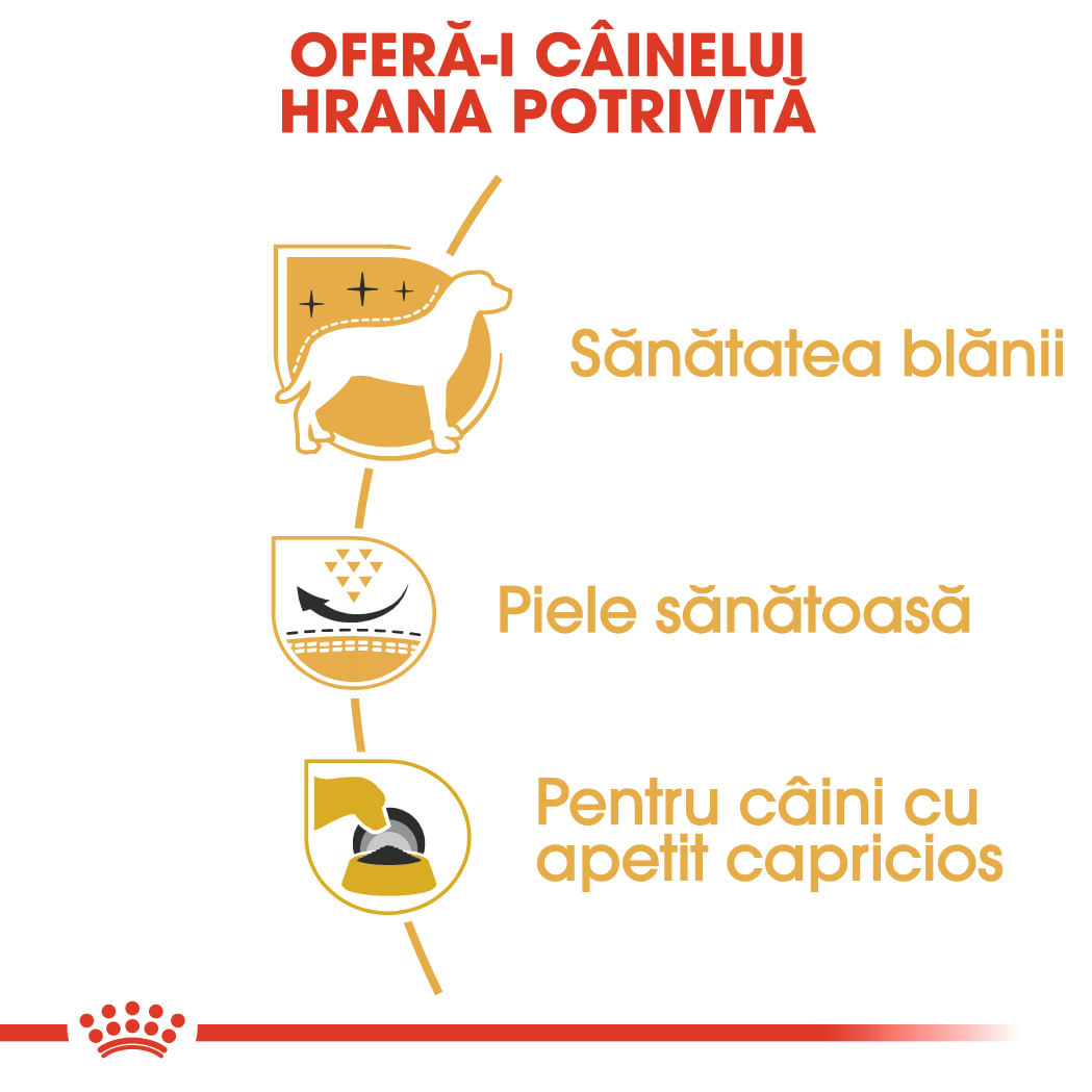 ROYAL CANIN West Highland Terrier Adult, hrană uscată câini, 1.5kg - poza 5