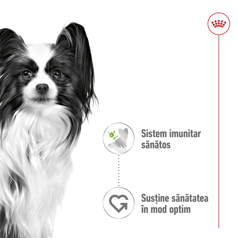 ROYAL CANIN X-Small Adult hrană umedă câini (în sos), 85g - poza 3