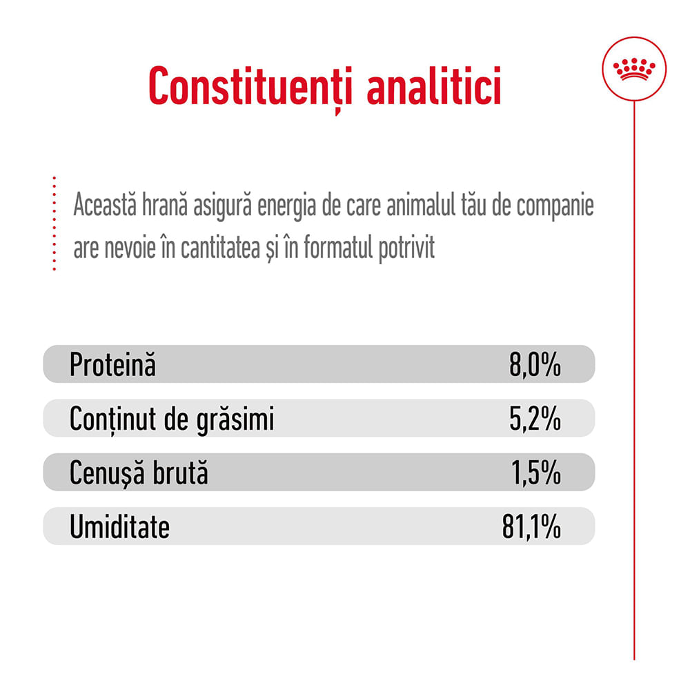 ROYAL CANIN X-Small Adult hrană umedă câini (în sos), bax, 85g x 12buc - poza 5