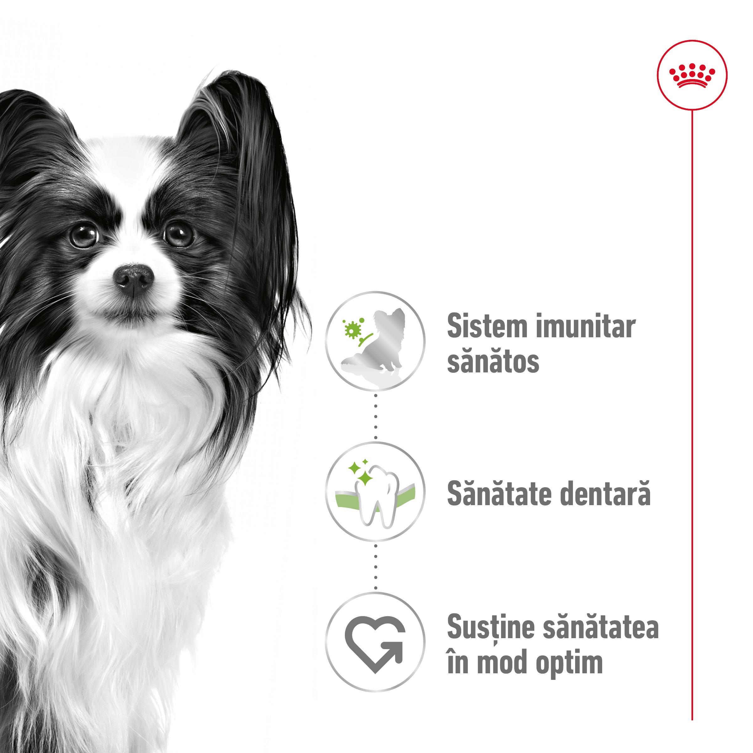 ROYAL CANIN X-Small Adult, hrană uscată câini, 1.5kg - poza 3