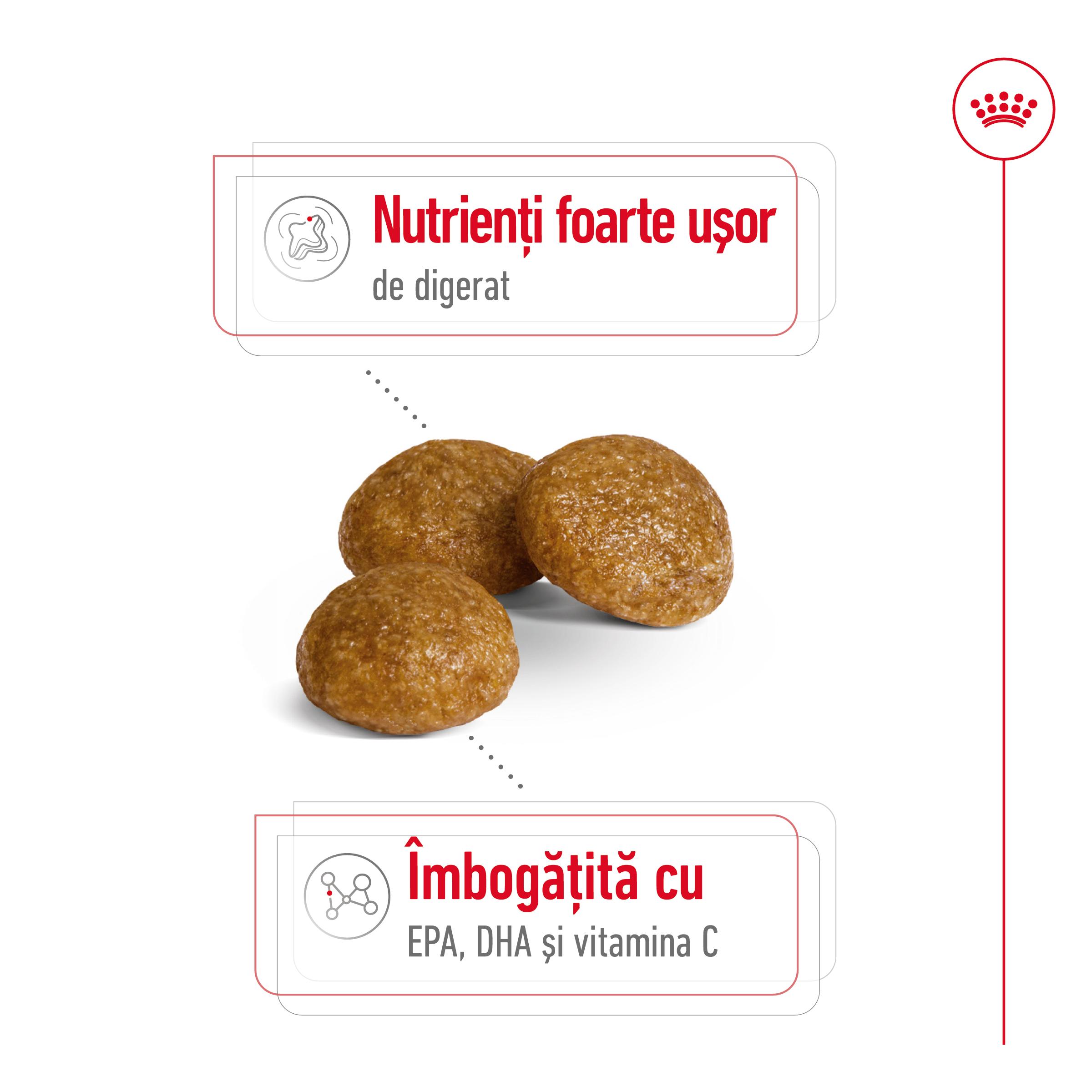 ROYAL CANIN X-Small Adult, hrană uscată câini, 500g - poza 4