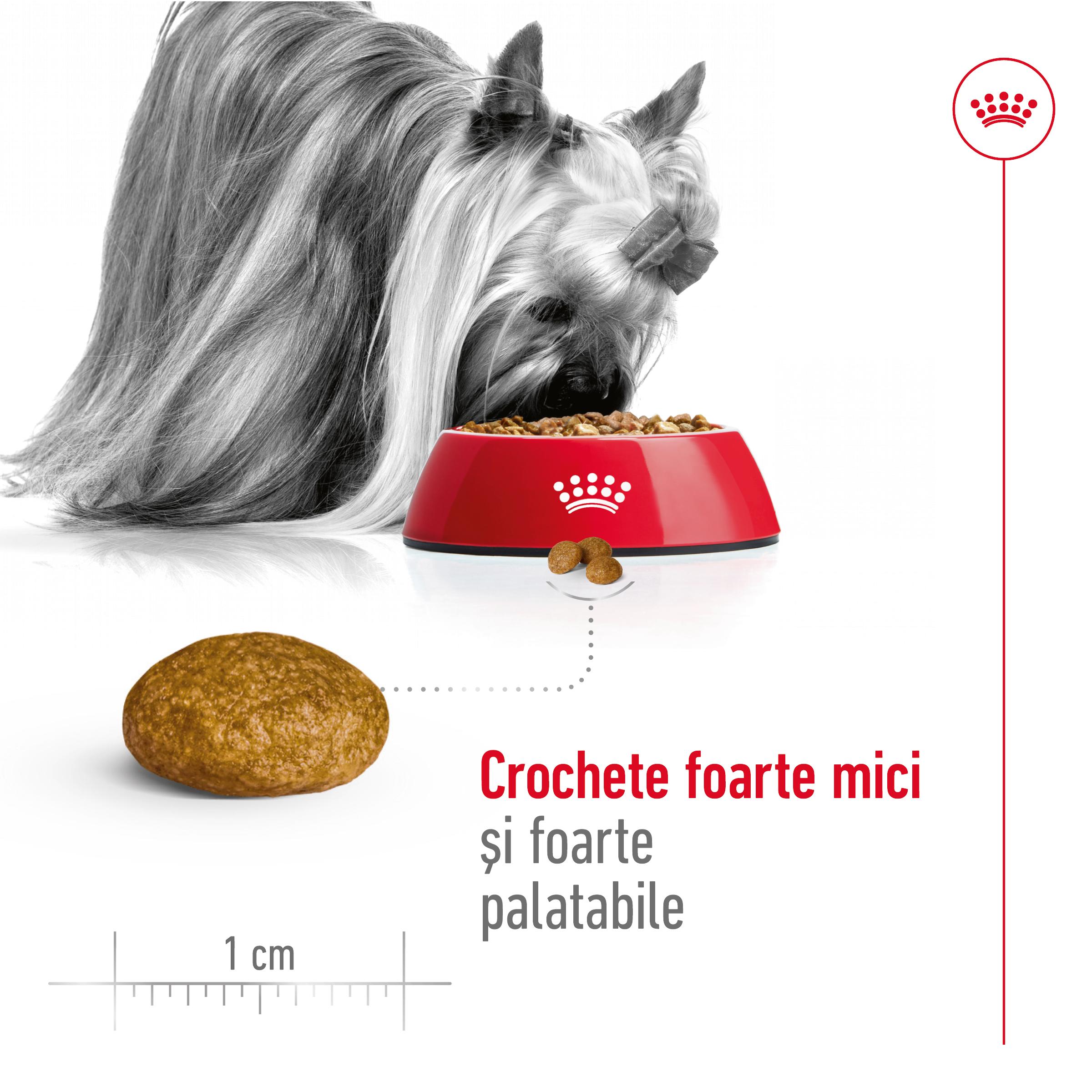 ROYAL CANIN X-Small Adult, hrană uscată câini, 500g - poza 5