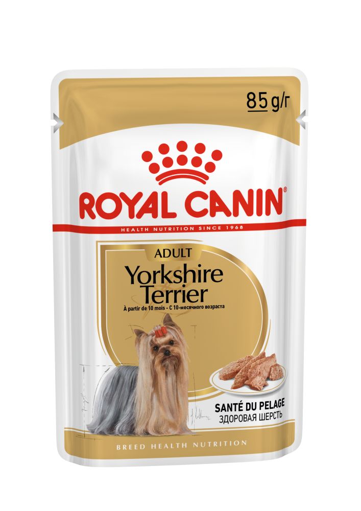 ROYAL CANIN Yorkshire Adult hrană umedă câini (pate), 85g - poza 1