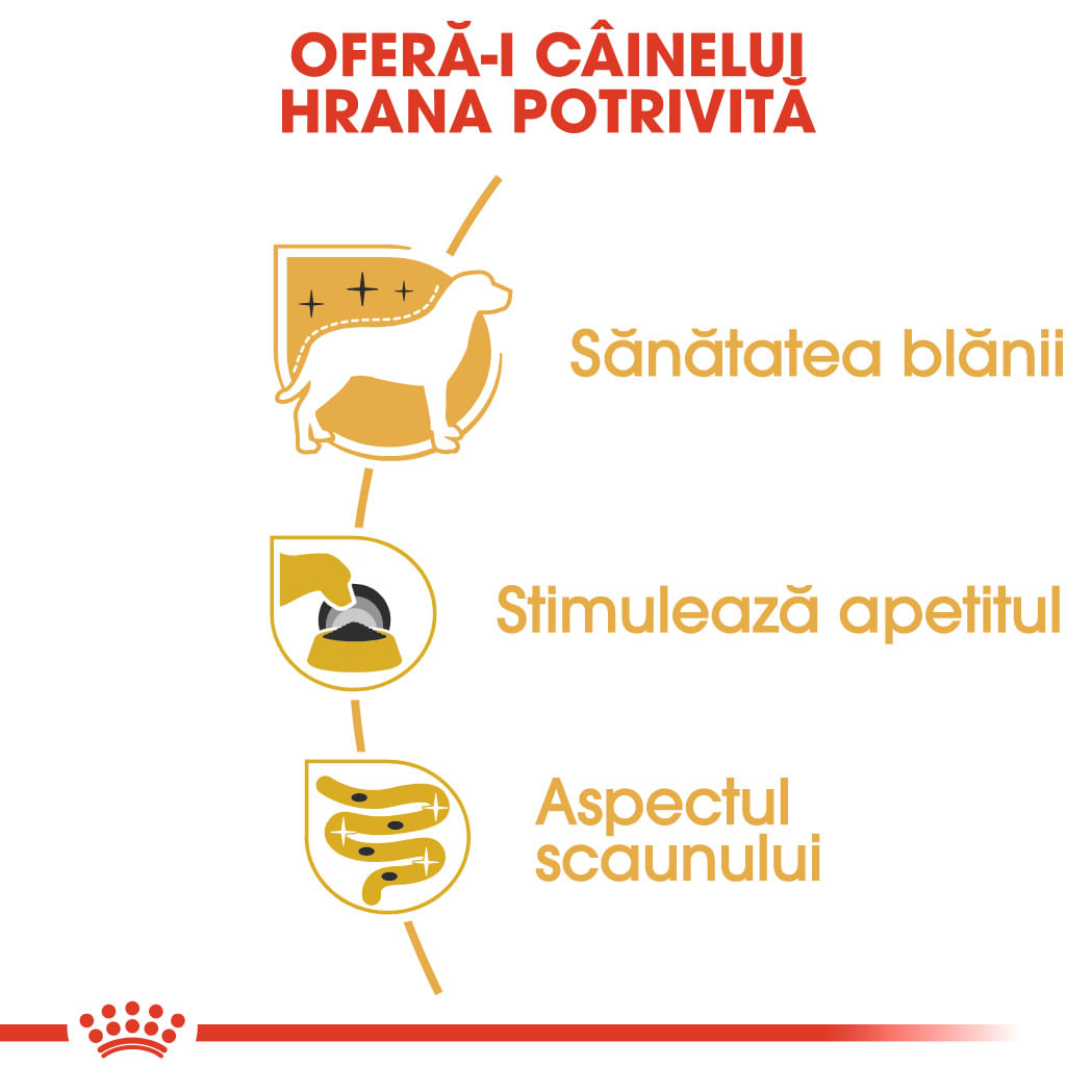 ROYAL CANIN Yorkshire Adult hrană umedă câini (pate), bax, 85g x 12buc - poza 4