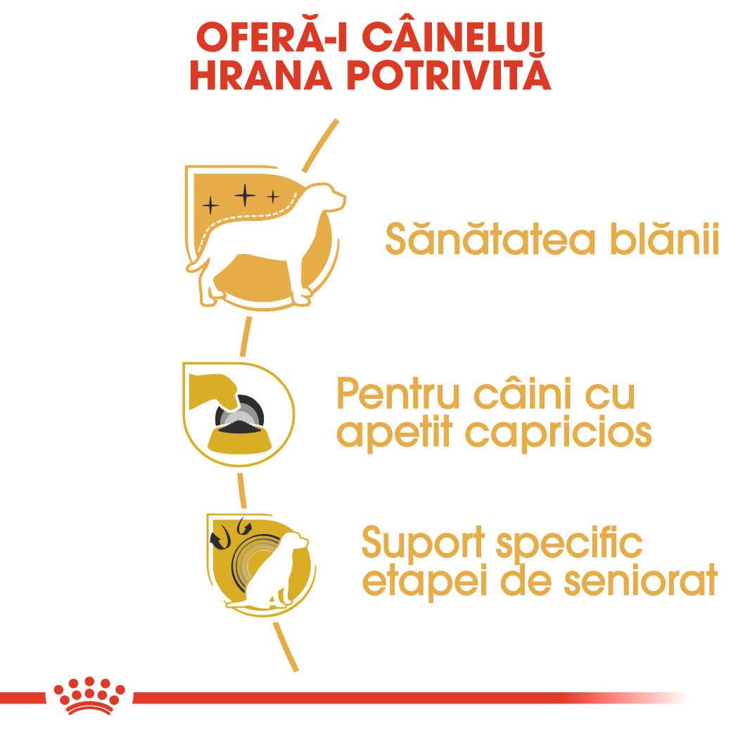 ROYAL CANIN Yorkshire Adult, hrană uscată câini, 1.5kg - poza 4