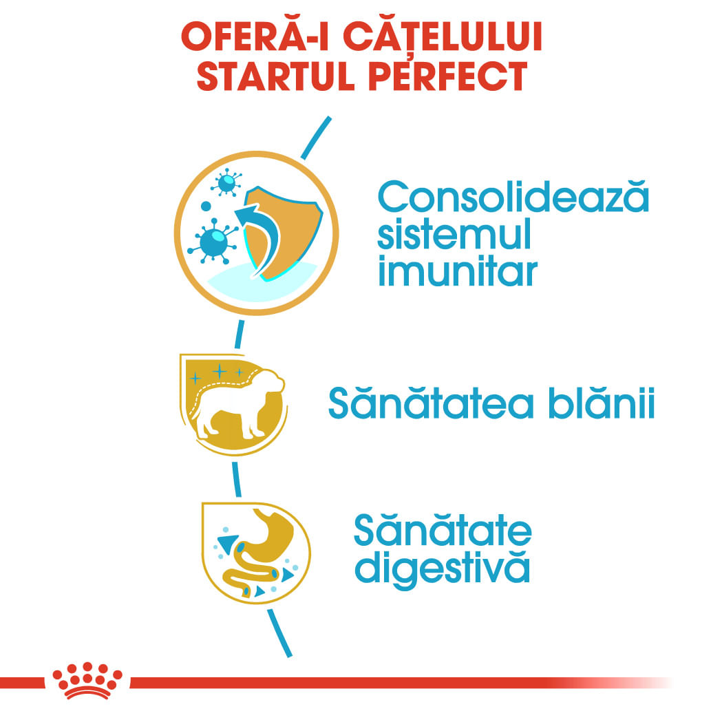 ROYAL CANIN Yorkshire Puppy, hrană uscată câini junior, 500g - poza 5