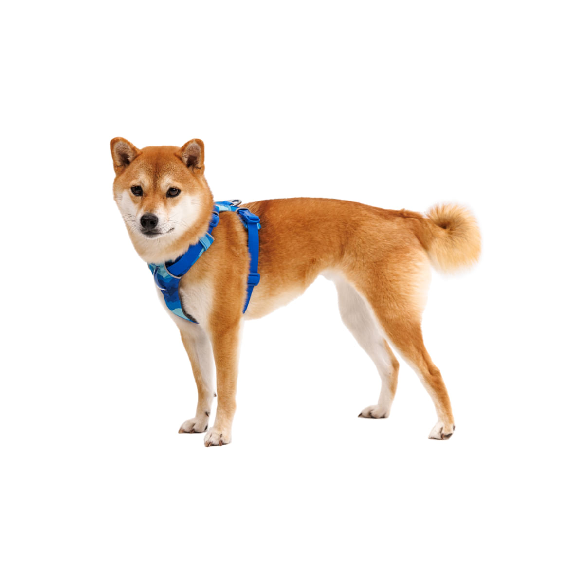 RUFFWEAR Front Rage, ham prindere dublă(piept&spate) dresaj câini, ajustabil, reflectorizant RUFFWEAR Front Rage Coastal Mountains, ham prindere dublă(piept&spate) dresaj câini, ajustabil, reflectorizant, albastru, L-XL(81-107cm) - poza 3