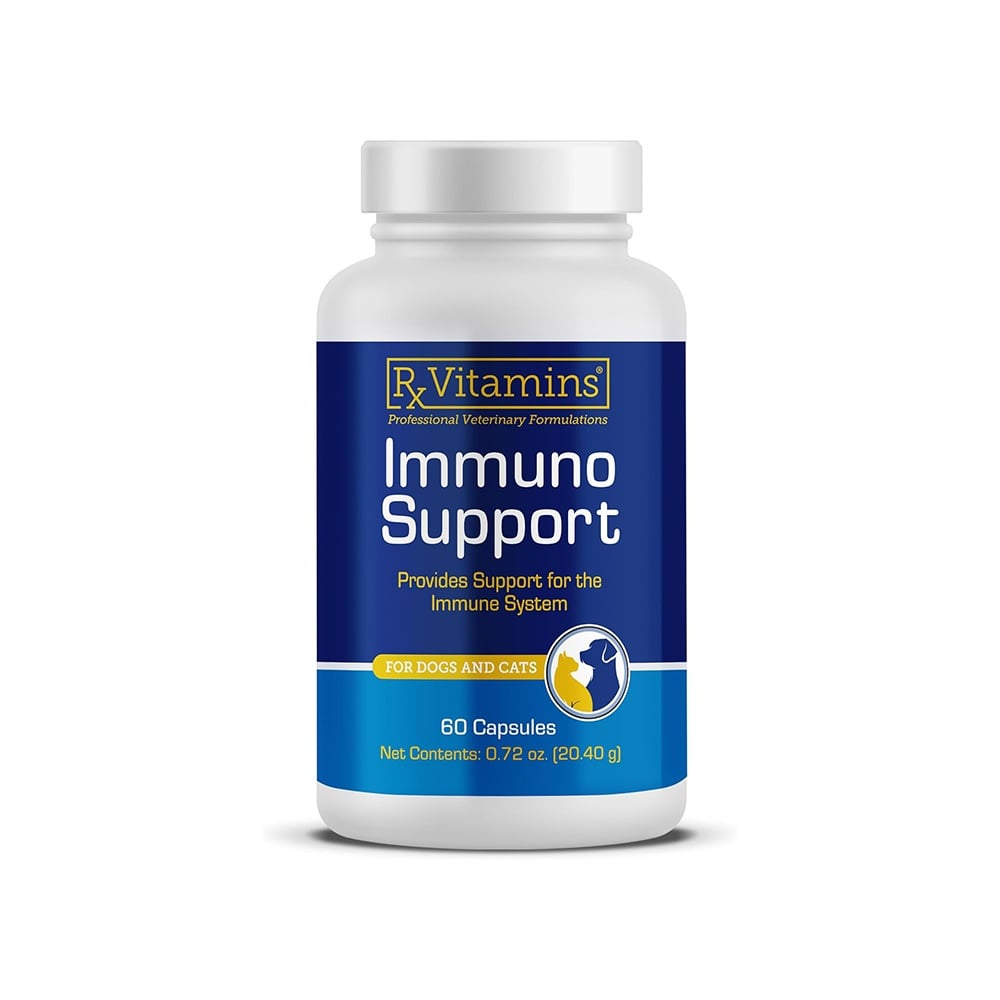 RX Immuno Support, 60 capsule - poza 1