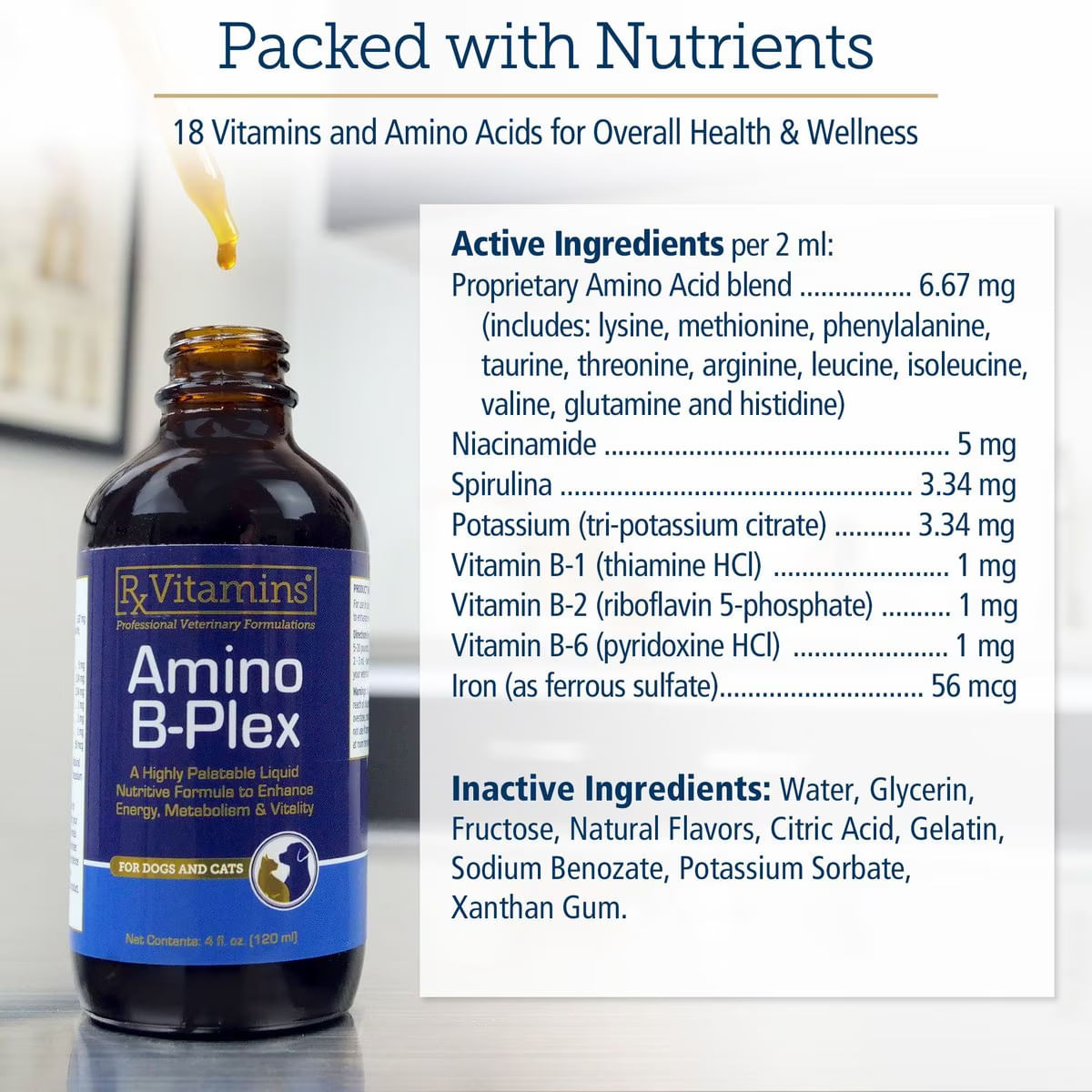 RX VITAMINS Amino B-Plex, supliment convalescență, multivitamine câini, suspensie orală RX VITAMINS Amino B-Plex, supliment convalescență, multivitamine câini și pisici, flacon, 120ml suspensie orală - poza 3