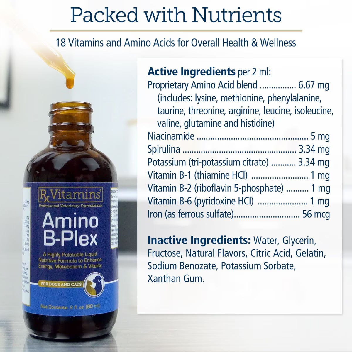 RX VITAMINS Amino B-Plex, supliment convalescență, multivitamine câini, suspensie orală RX VITAMINS Amino B-Plex, supliment convalescență, multivitamine câini și pisici, flacon, 60ml suspensie orală - poza 3