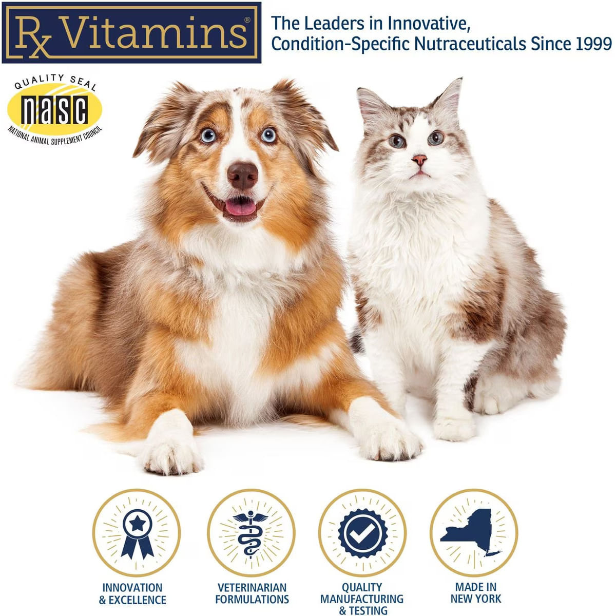 RX VITAMINS Amino B-Plex, supliment convalescență, multivitamine câini, suspensie orală RX VITAMINS Amino B-Plex, supliment convalescență, multivitamine câini și pisici, flacon, 60ml suspensie orală - poza 4