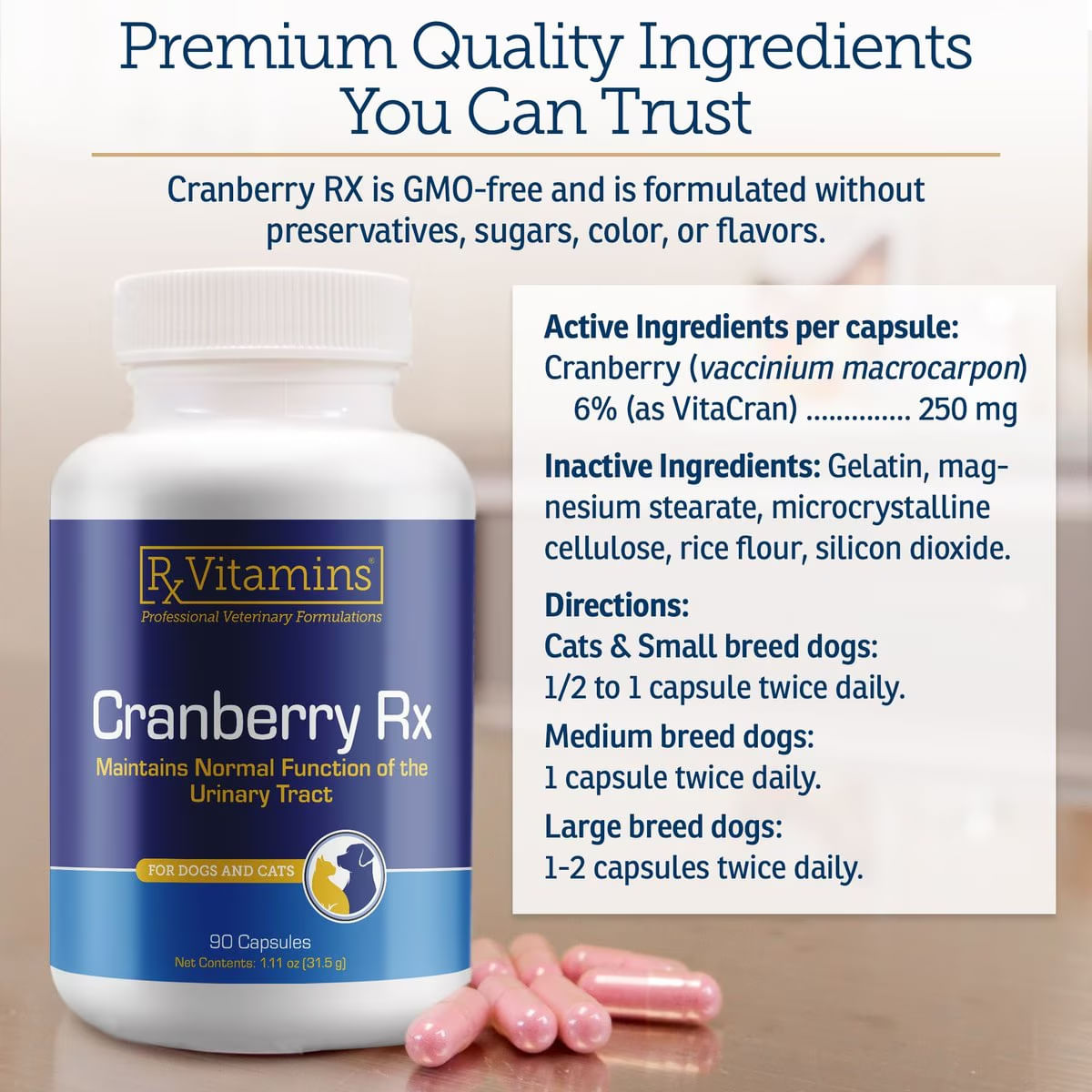RX VITAMINS Cranberry, supliment sistem urinar câini, capsule RX VITAMINS Cranberry, supliment sistem urinar câini și pisici, flacon, 90 capsule - poza 3