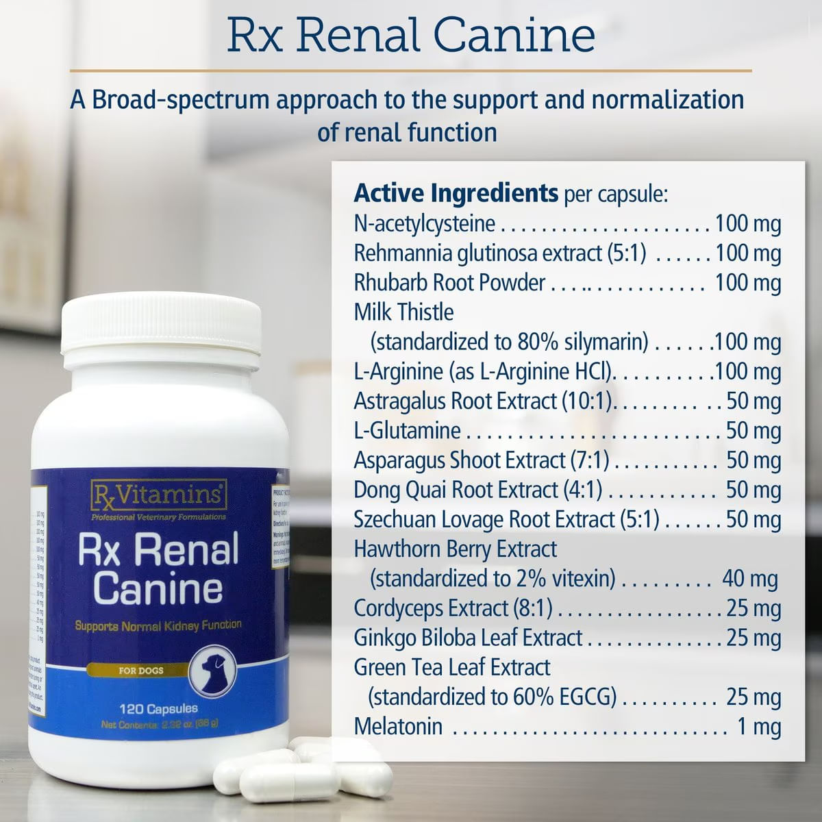RX VITAMINS Renal Canine, supliment sistem renal câini, capsule RX VITAMINS Renal Canine, supliment sistem renal câini, flacon, 120 capsule - poza 3