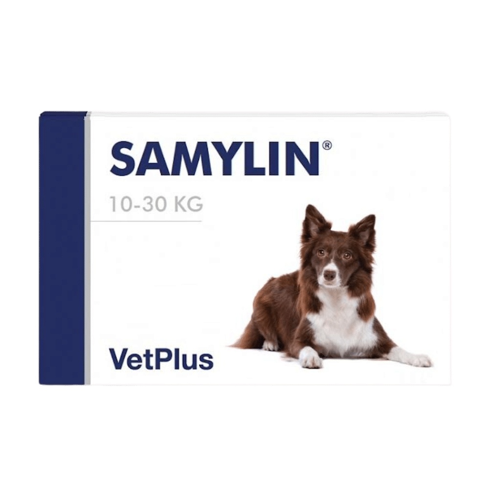 Samylin, 30 tablete - poza 2