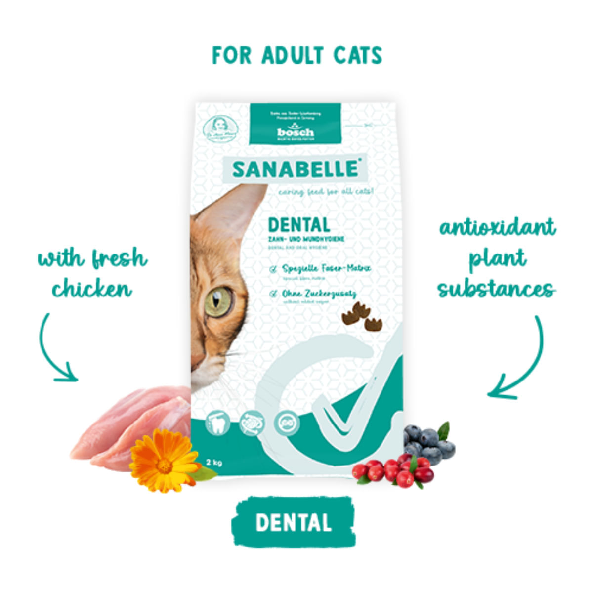 SANABELLE Dental, Pasăre, hrană uscată pisici, sensibilități dentare, 400g - poza 4