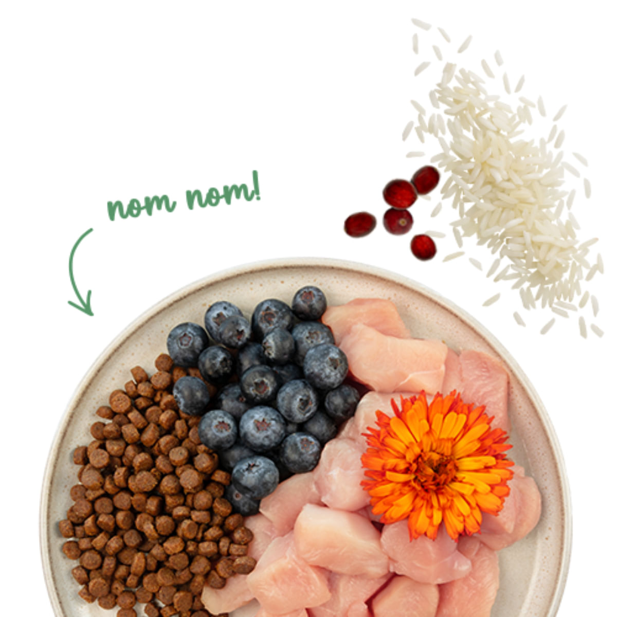 SANABELLE Sensitive, Pui și Afine, hrană uscată pisici, sistem digestiv, 400g - poza 5