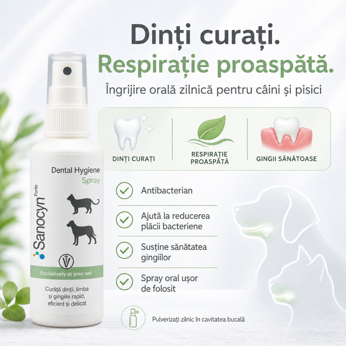 SANOCYN Forte Dental Hygiene, apă de gură spray câini și pisici, antibacteriană, anti-tartru, flacon, 75ml - poza 5