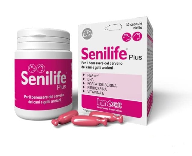 Senilife Plus, capsule - poza 1