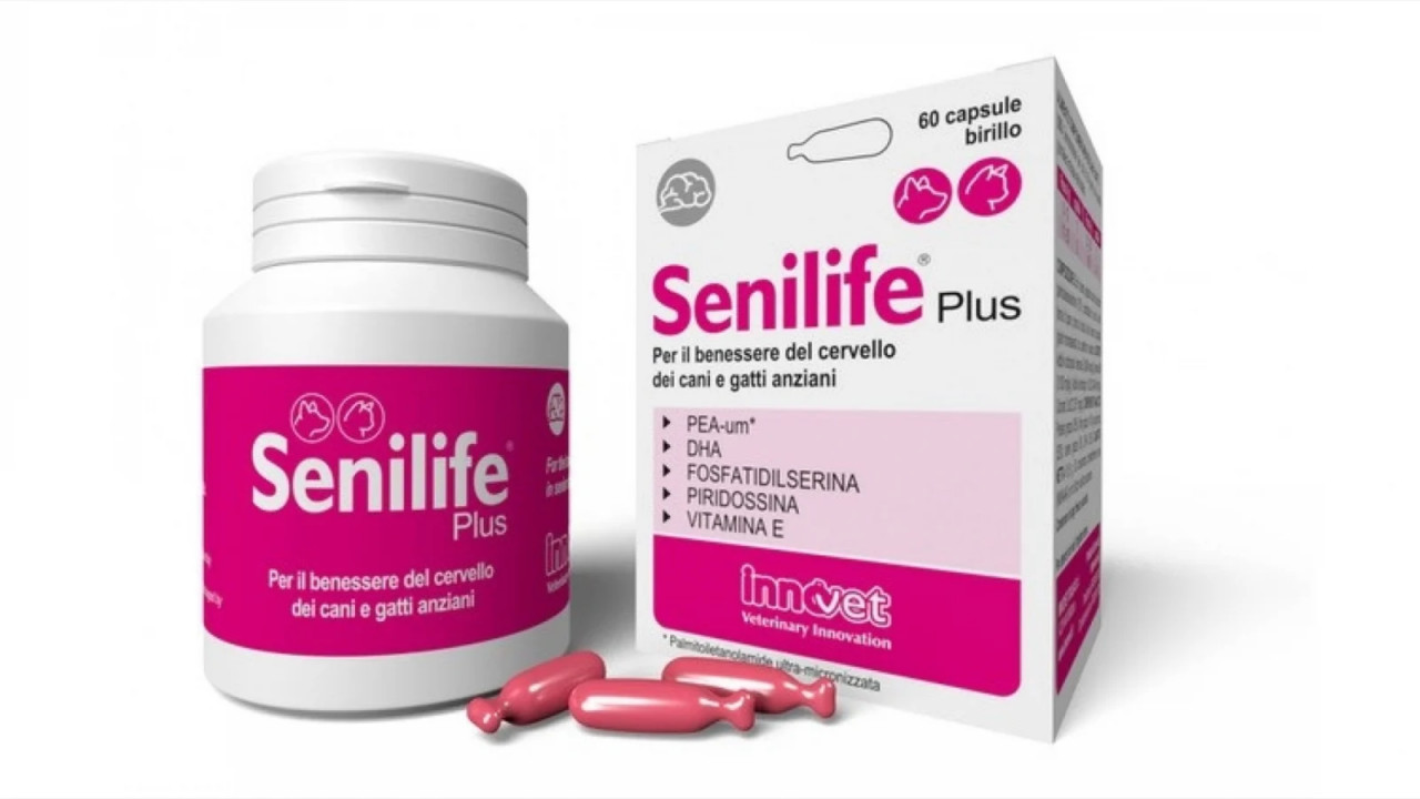 Senilife Plus, capsule - poza 2