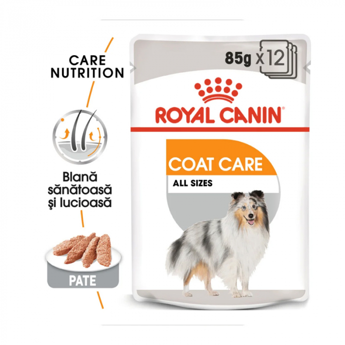 Set 12 buc x 85 gr Hrana umeda pentru caini Royal Canin Coat Care All Sizes