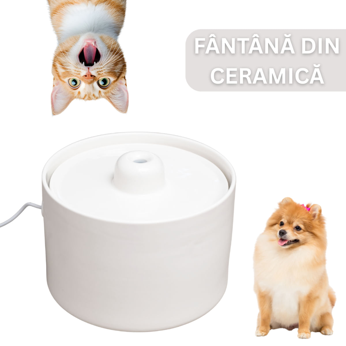 SHAW Fântână Ceramică , fântână pisici, rotundă, sistem filtrare, ceramică, bej, 2l - poza 1