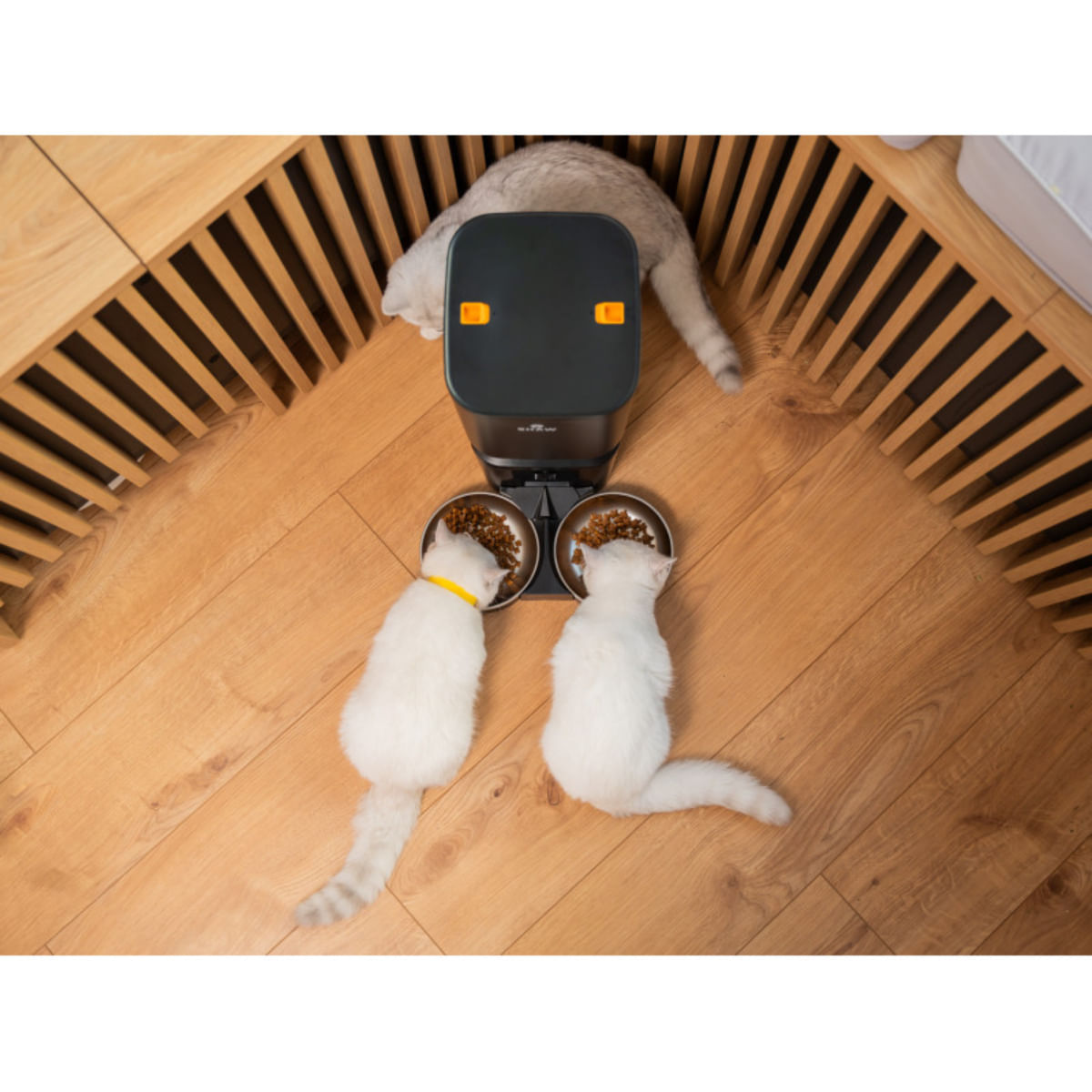 SHAW Smart, hrănitor automat câini, 2 boluri rotunde, programabil, aplicație mobilă, PVC SHAW Smart, hrănitor automat câini și pisici, 2 boluri rotunde, programabil, aplicație mobilă, PVC, negru, XS-S(7l) - poza 4